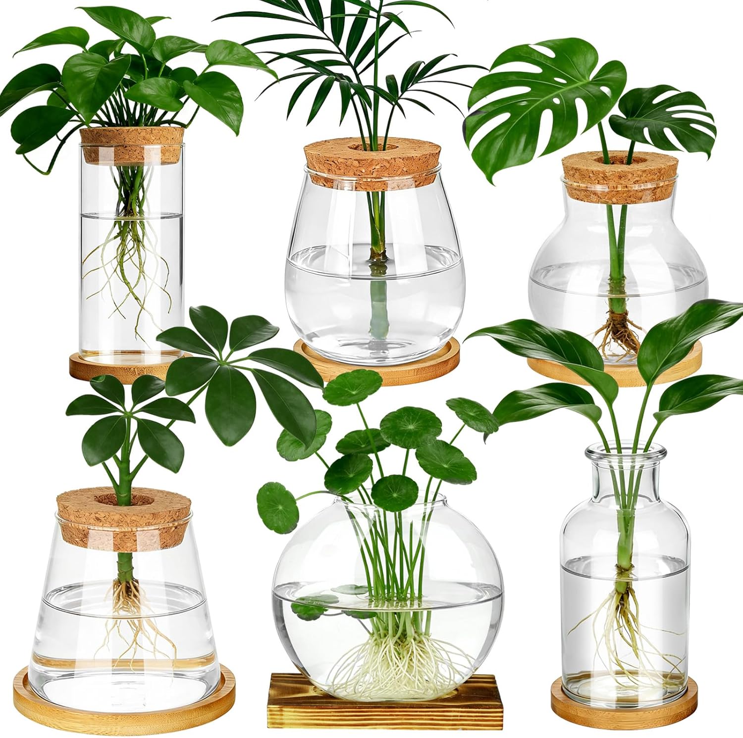 Propagation Station Vase - 6 Pcs Plants Propagation Stations Glass