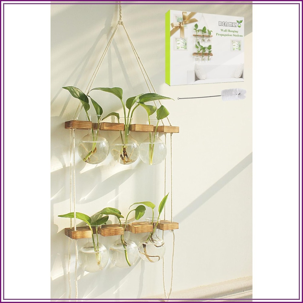 Propagation Station Vase - Wall Hanging Plant Propagation Station with