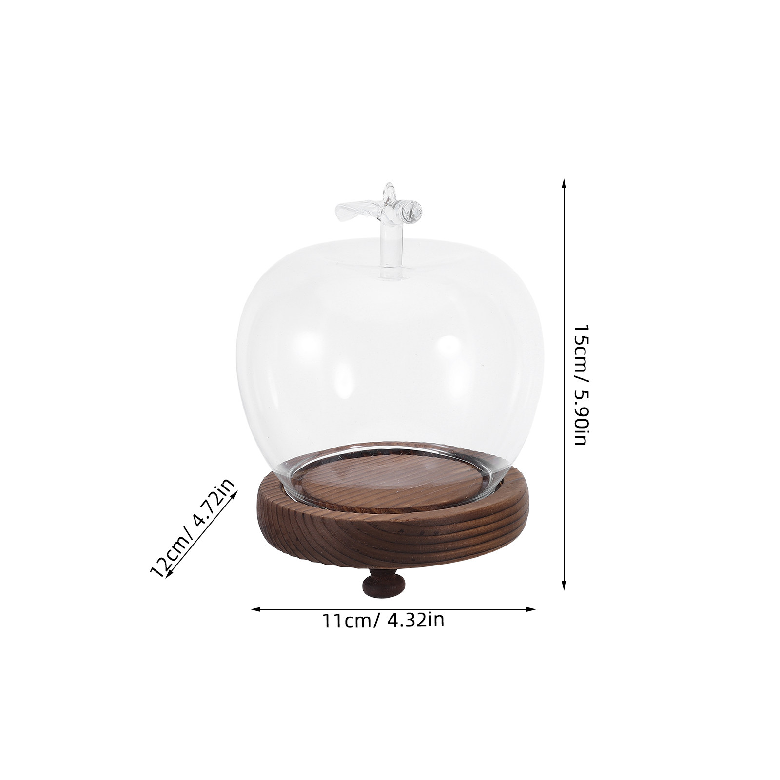 Glass Dome Cloche Clear Displa - Plastic Dome Clear 评论和价格