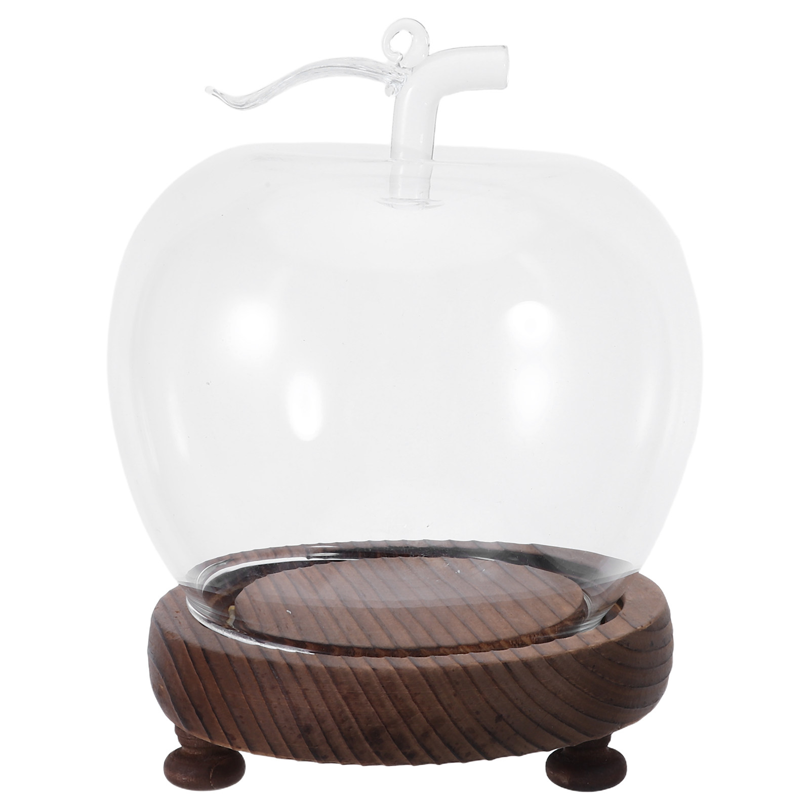 Glass Dome Cloche Clear Displa - Plastic Dome Clear 评论和价格