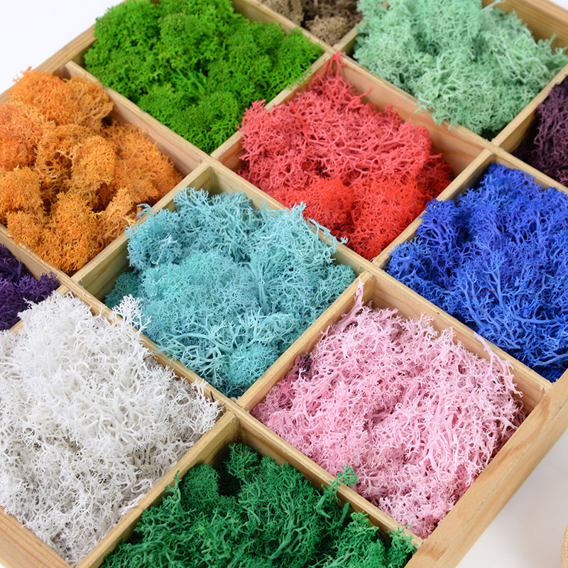 20/40g Artificial Green Plants - Sphagnum Moss Dry 评论和价格
