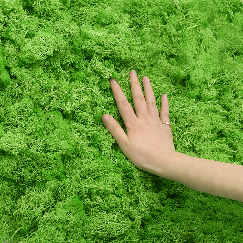 20/40g Artificial Green Plants - Sphagnum Moss Dry 评论和价格