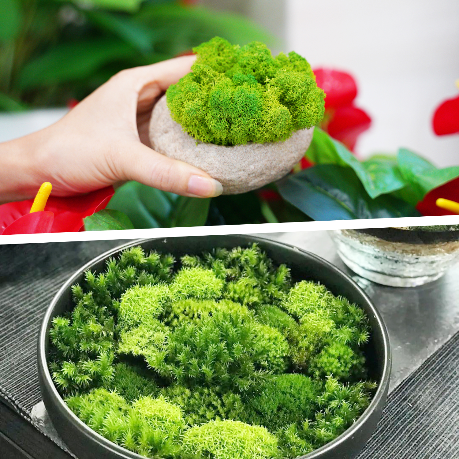 Artificial Green Plants Eterna - Sphagnum Moss Dry 评论和价格