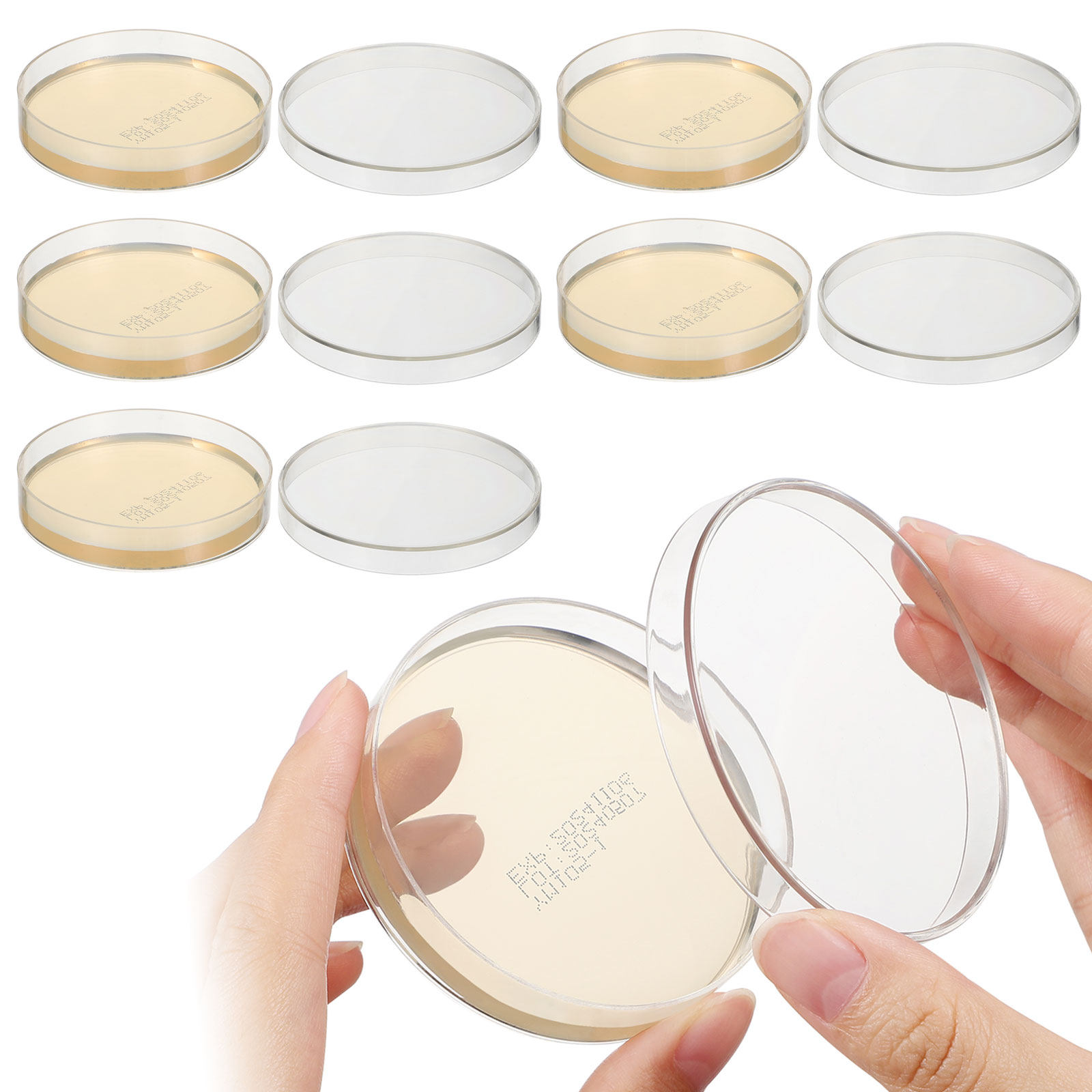 Agar Plates 10pcs Ready to Use - Agar Tissue Culture 评论和价格