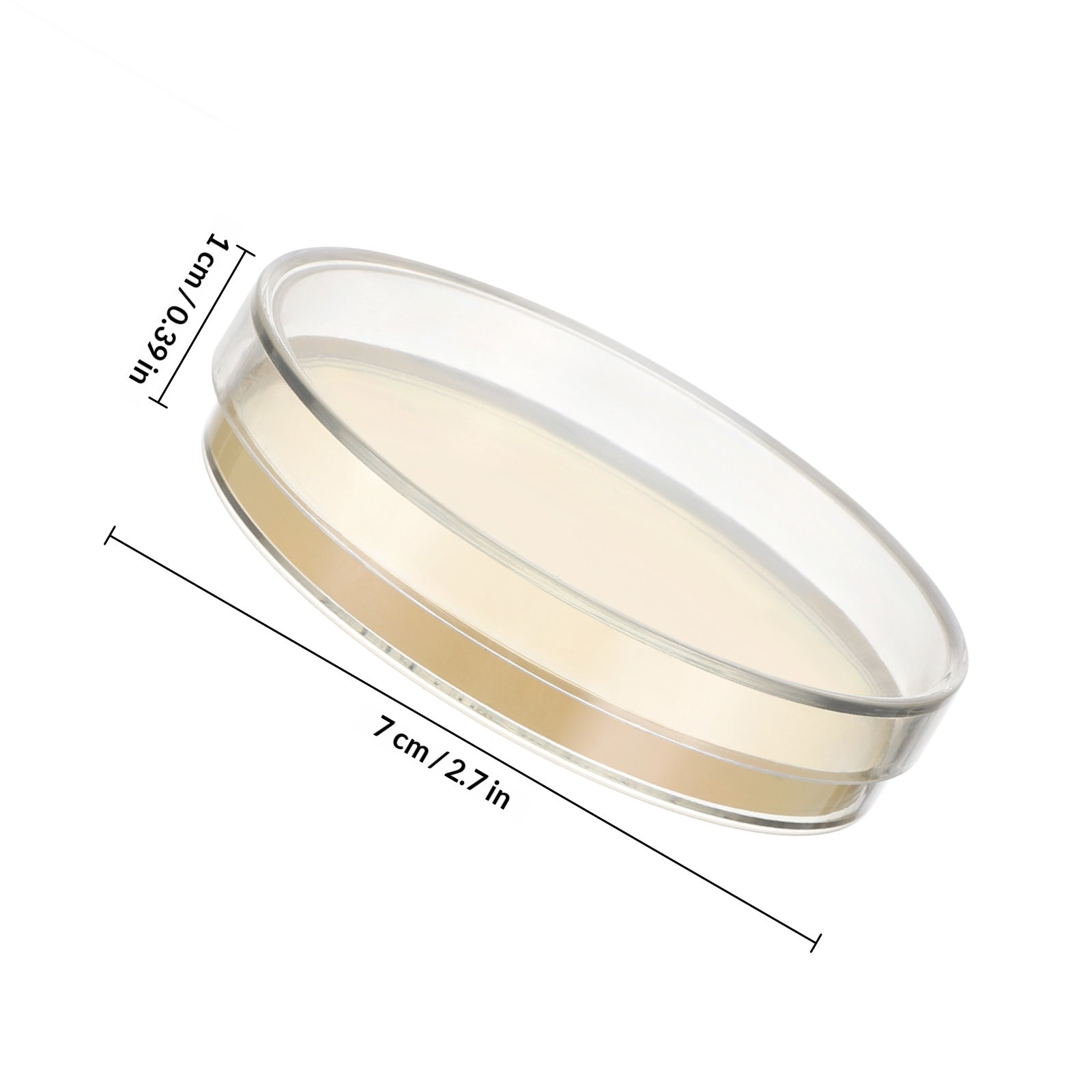 Agar Plates 10pcs Ready to Use - Agar Tissue Culture 评论和价格