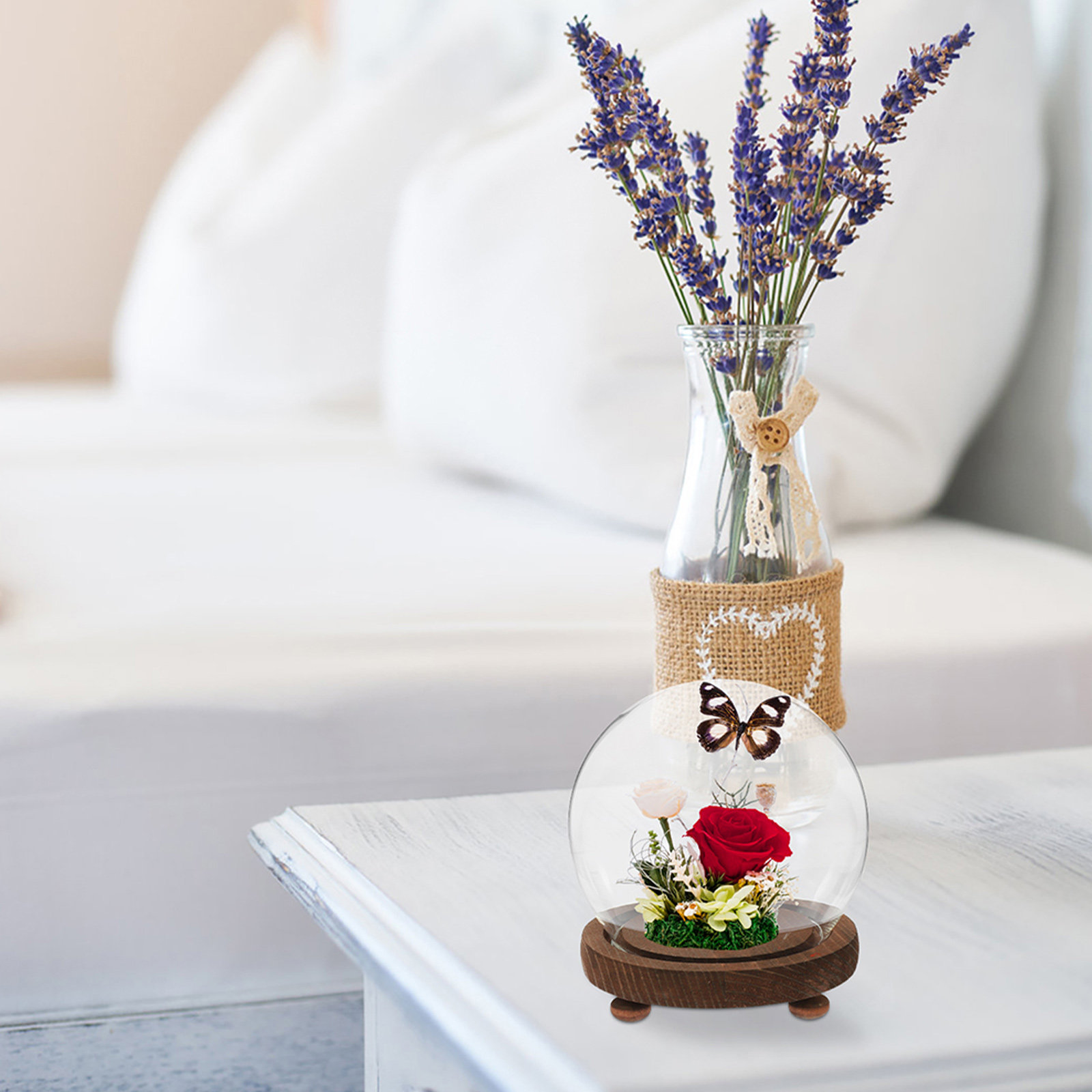 Spherical Glass Cover Ornament - Plastic Dome Clear 评论和价格