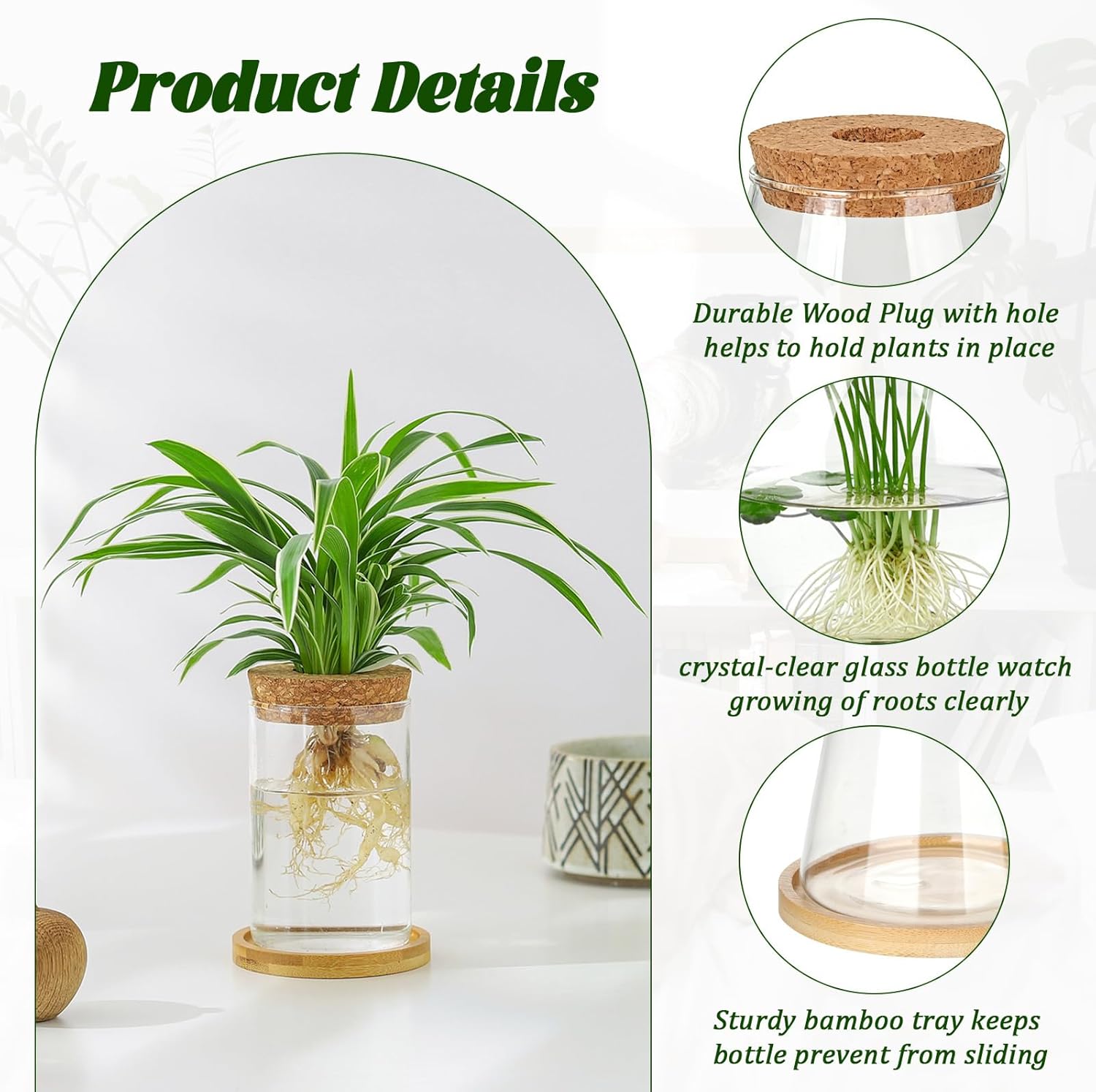 6 Pcs Plants Propagation Stati - Propagation Station Vase 评论和价格