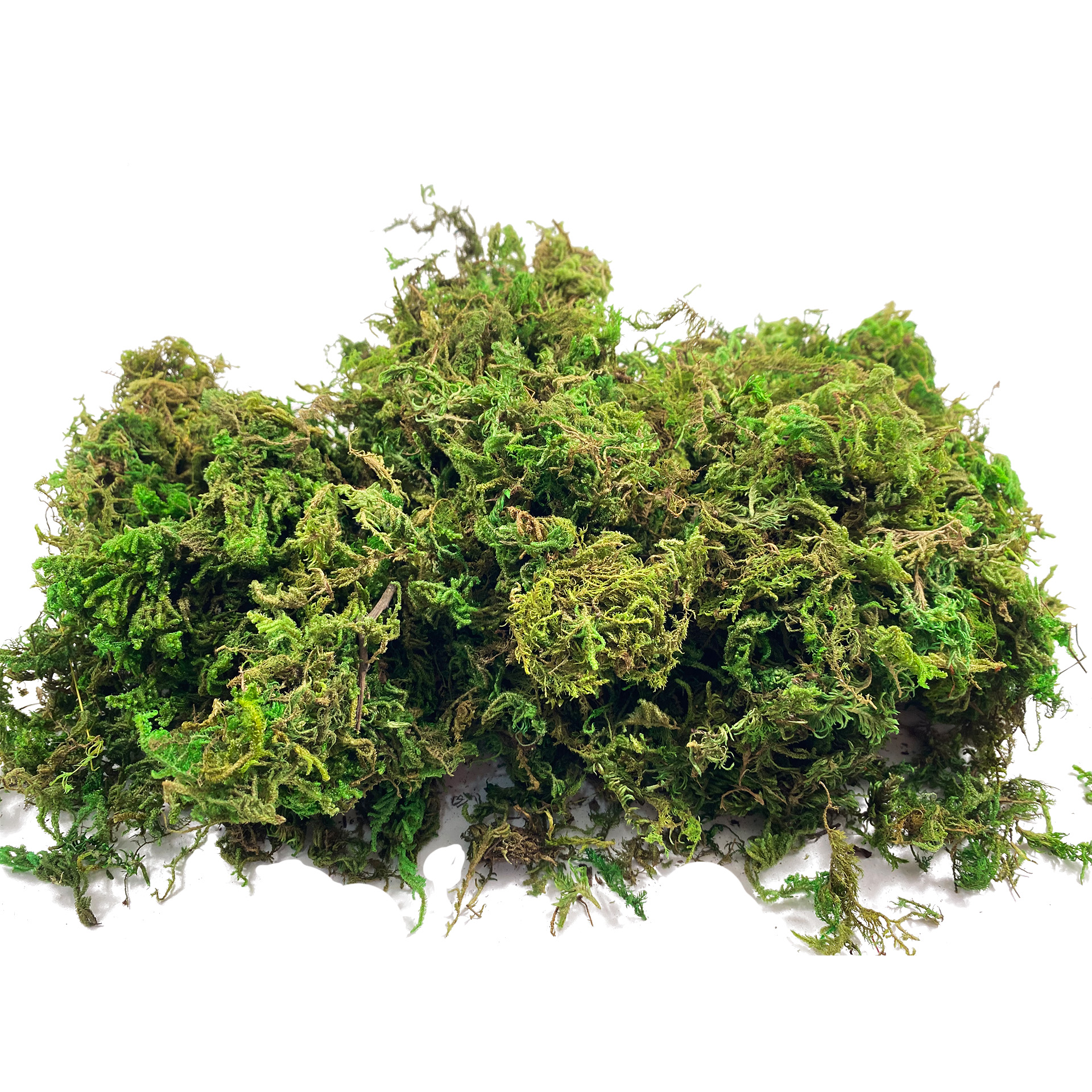 Artificial Fake Moss, Craft Mo - Sphagnum Moss Dry 评论和价格