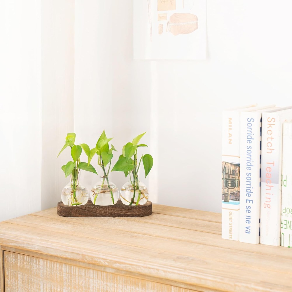 Desktop Plant Propagation Stat - Propagation Station Vase 评论和价格