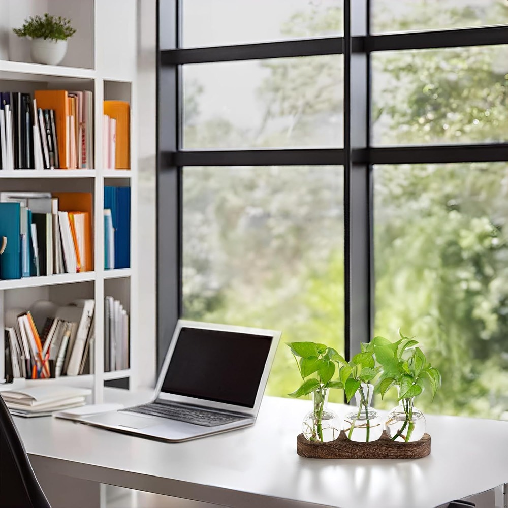 Desktop Plant Propagation Stat - Propagation Station Vase 评论和价格