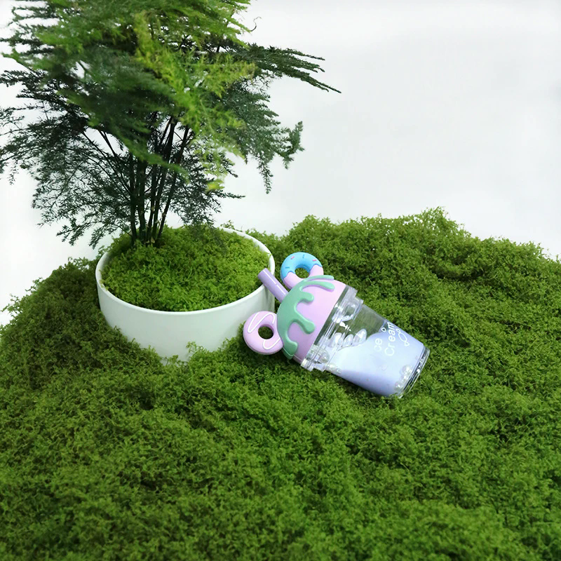 50g Fake Moss DIY Crafts Grass - Sphagnum Moss Dry 评论和价格