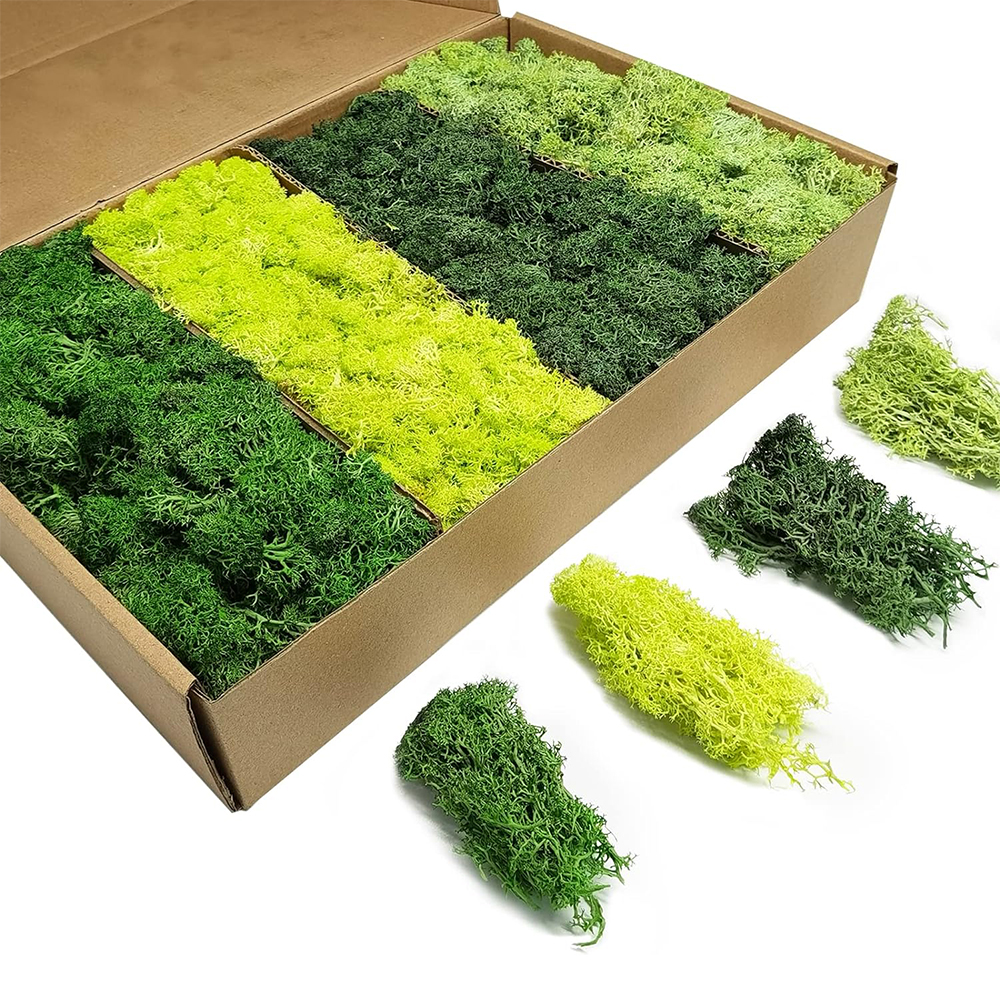 Artificial Green Plants Eterna - Sphagnum Moss Dry 评论和价格
