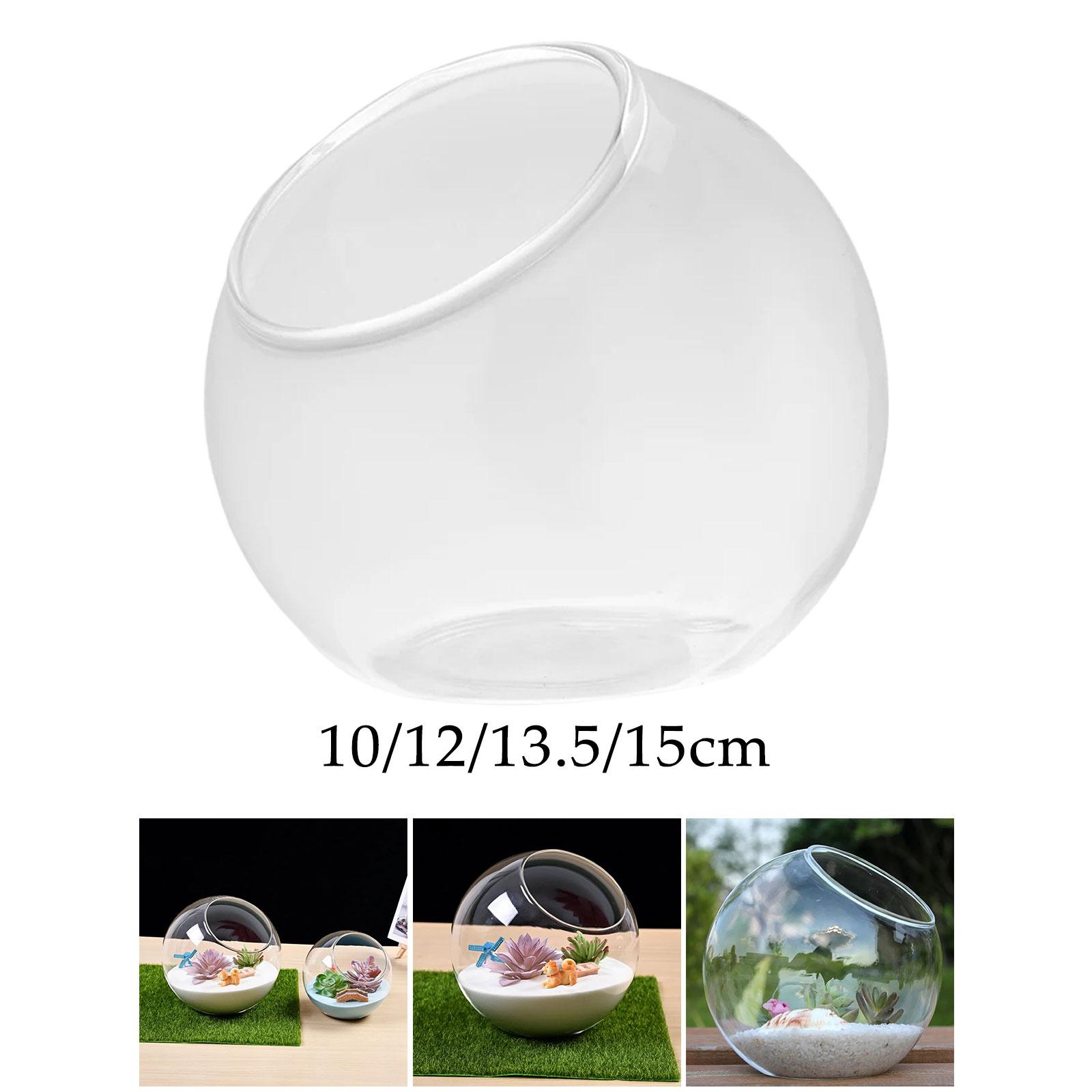 Terrarium Glass Vase Unique Ce - Propagation Station Vase 评论和价格