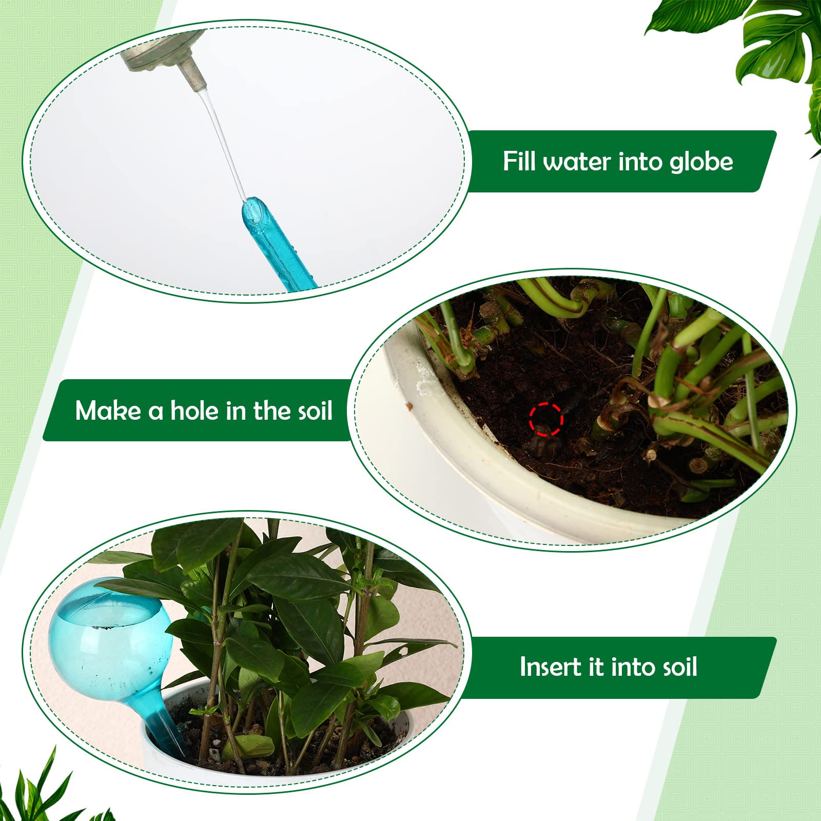 Plant Water Feeder Automatic P - Self Watering Insert 评论和价格