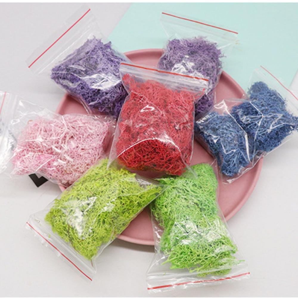 Wedding Accessories Wedding Fl - Sphagnum Moss Dry 评论和价格
