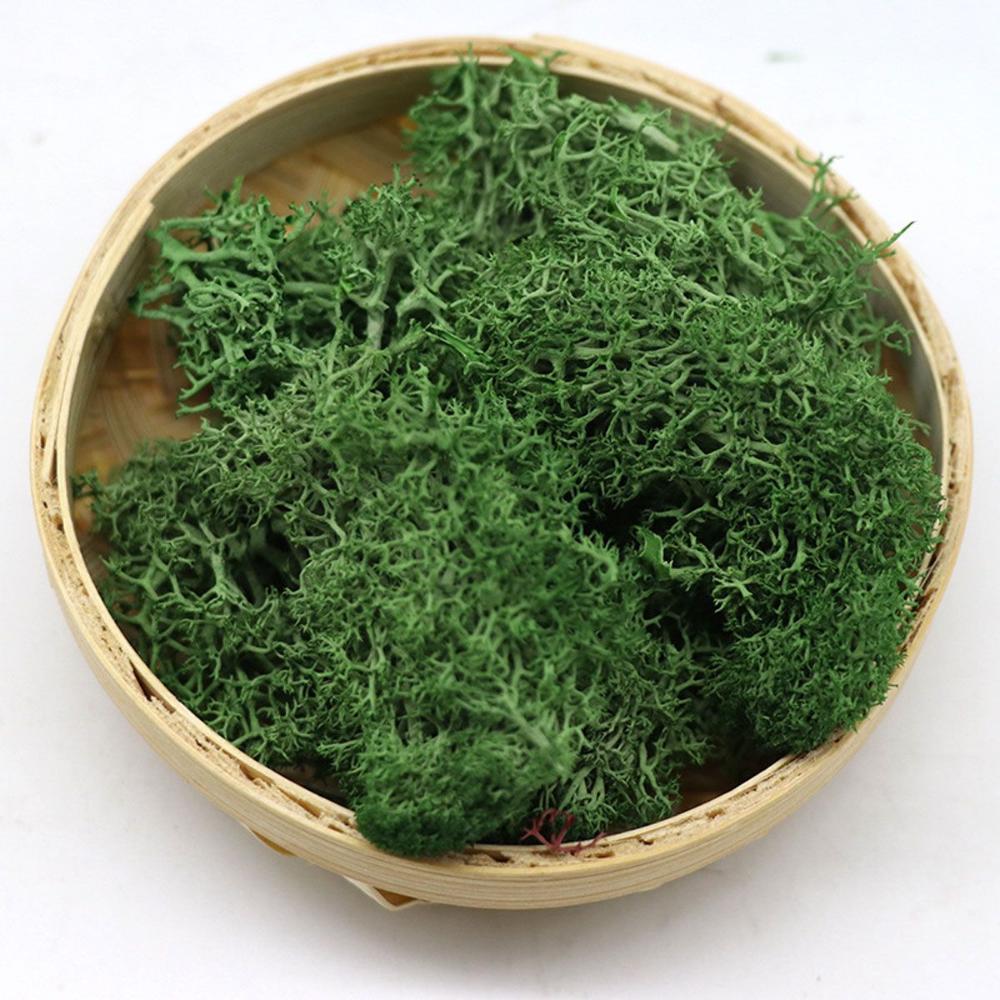 Wedding Accessories Wedding Fl - Sphagnum Moss Dry 评论和价格