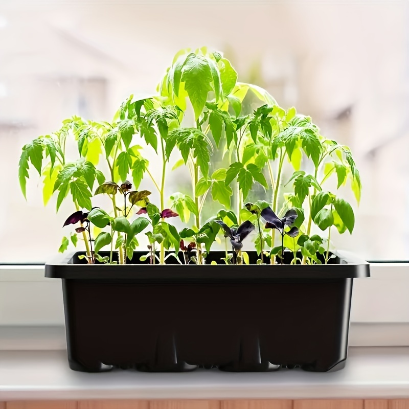 Seedling Starter Kit 1/2/3 Set - Humidity Dome Kit 评论和价格