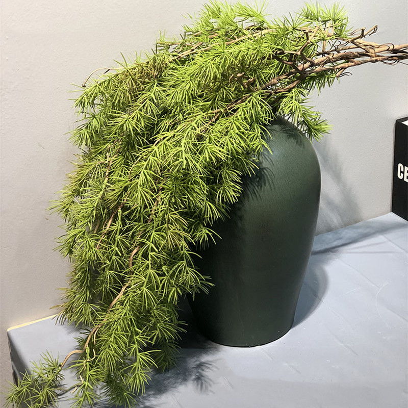 New Pine Needle Vine Wall Hang - Sphagnum Moss Dry 评论和价格