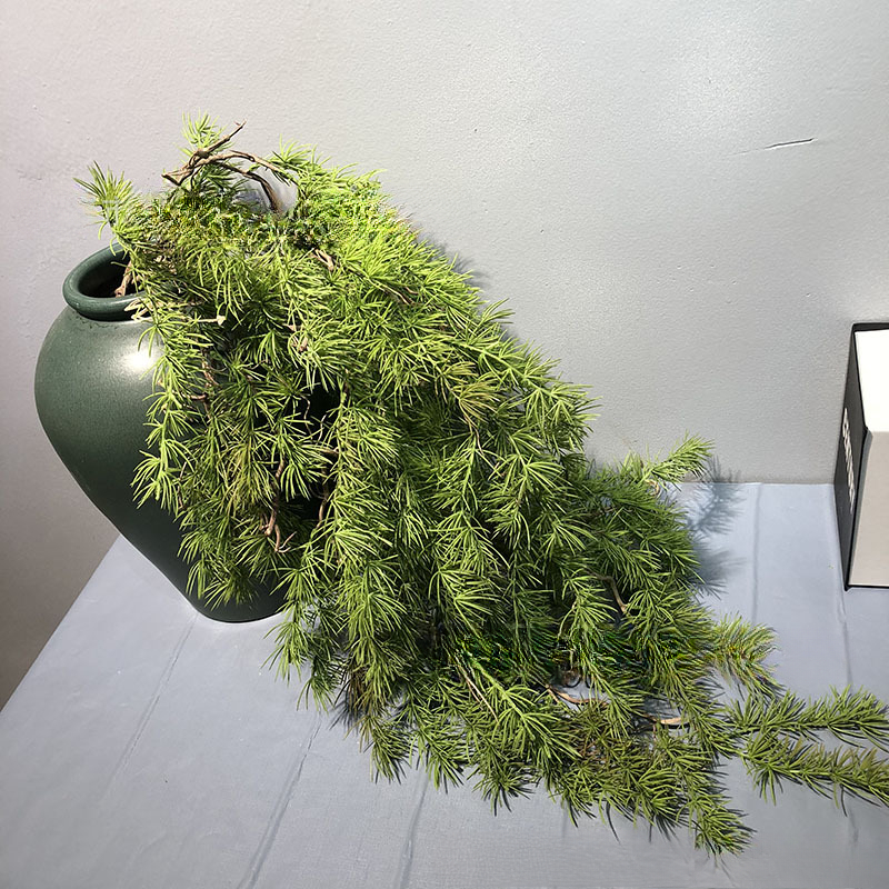 New Pine Needle Vine Wall Hang - Sphagnum Moss Dry 评论和价格