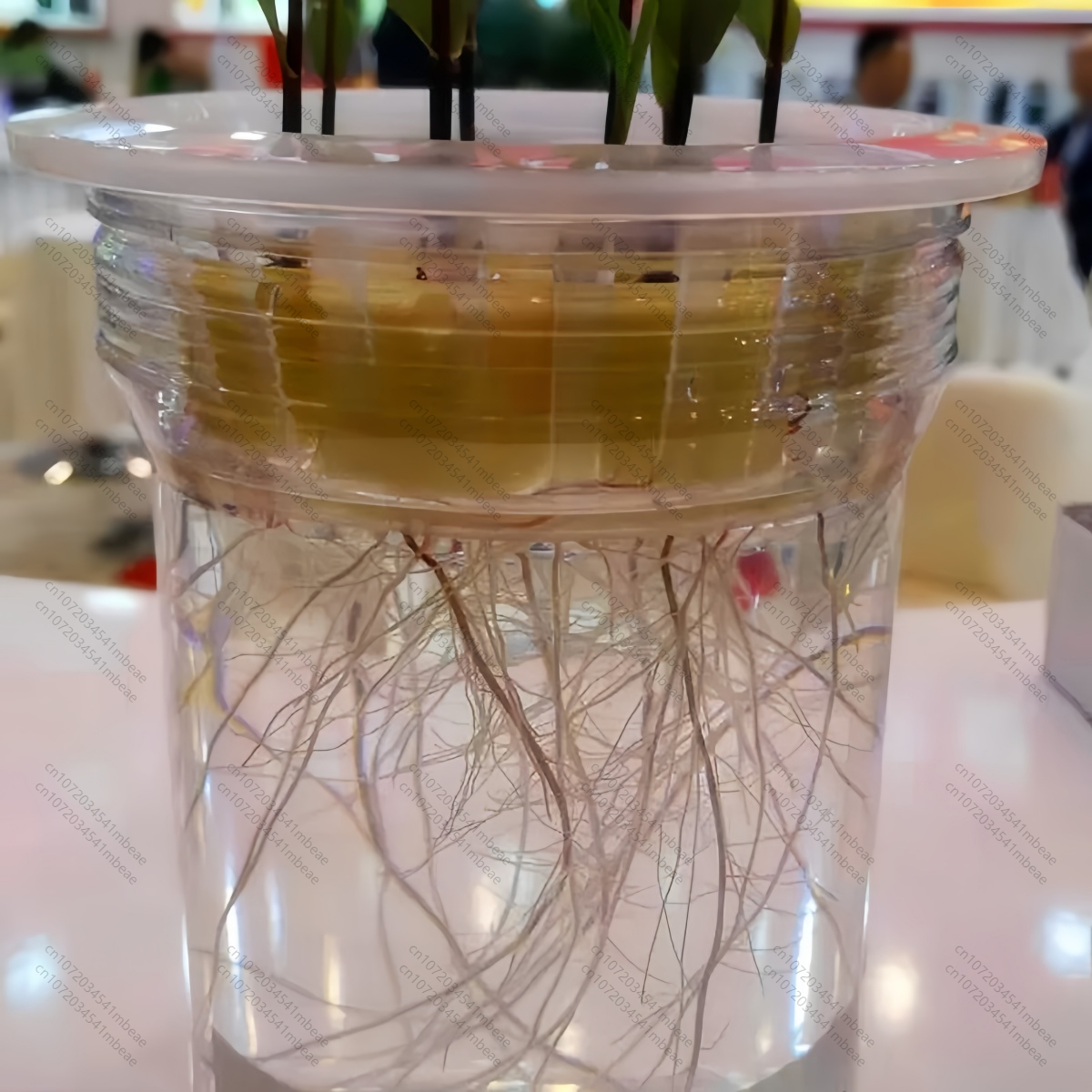 NAA 98% TC 1-Naphthaleneacetic - Rooting Hormone Powder 评论和价格