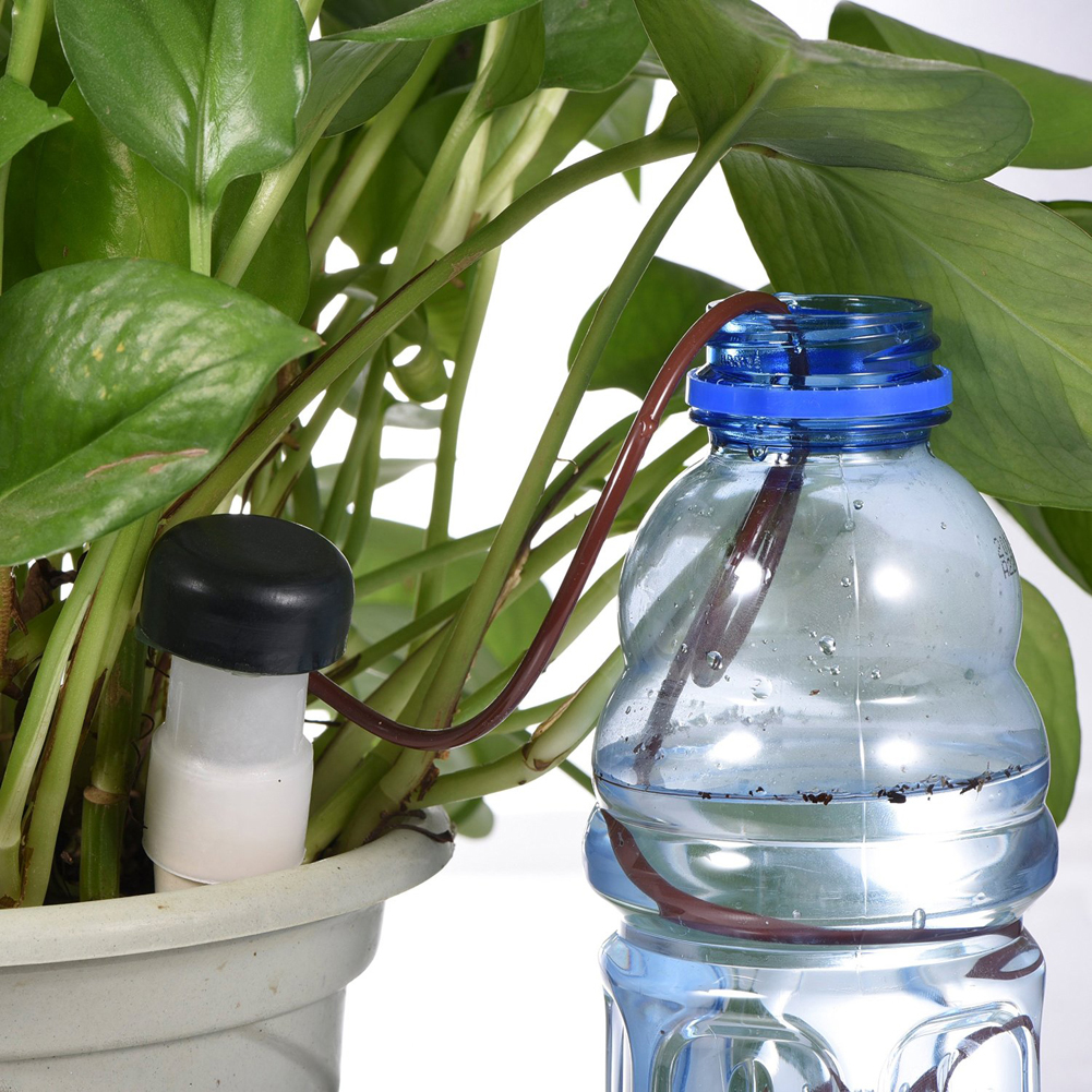 8-24Pcs Self-Watering Probes A - Self Watering Insert 评论和价格