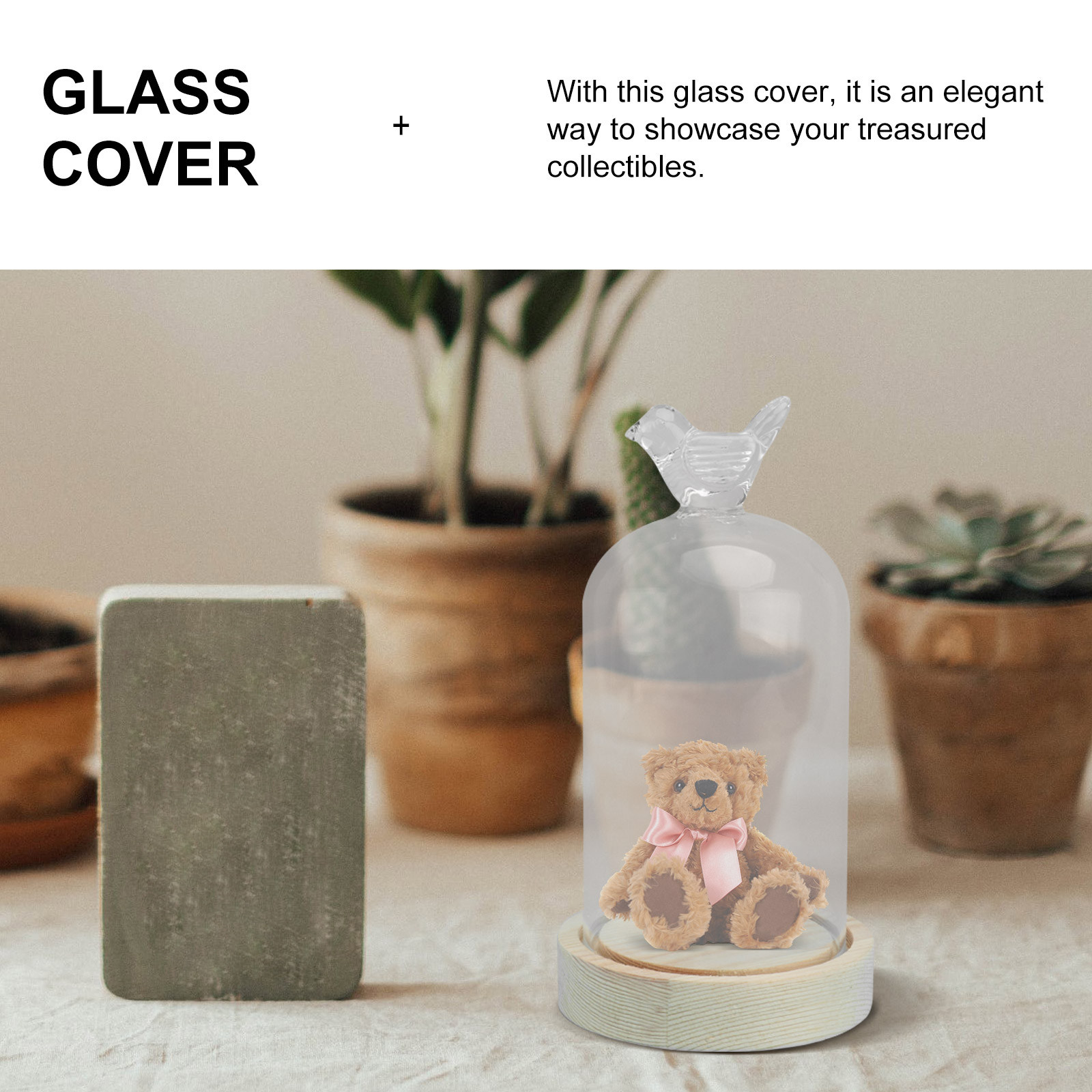 1Pcs Mini Glass Dome Cover Bir - Plastic Dome Clear 评论和价格