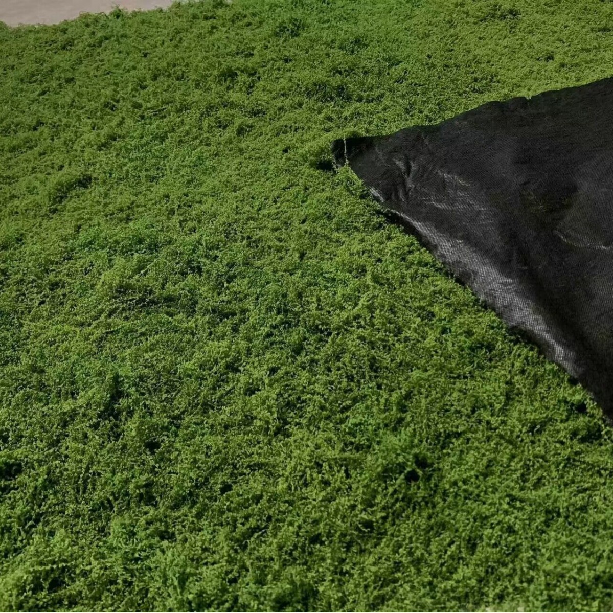 1*1m Fake Moss DIY Crafts Gras - Sphagnum Moss Dry 评论和价格