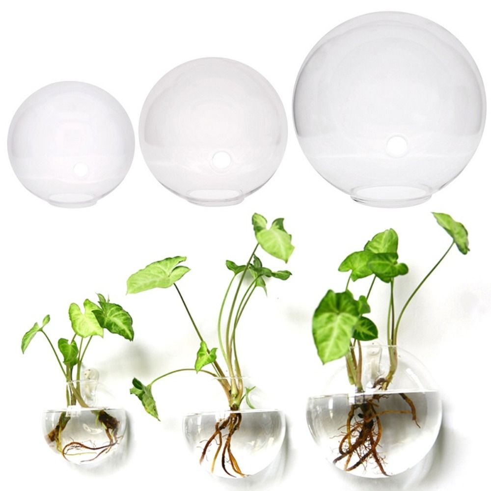 Transparent Glass Vase Wall Ha - Propagation Station Vase 评论和价格