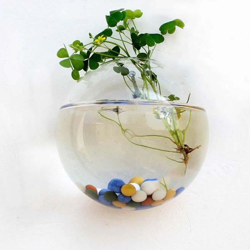 Transparent Glass Vase Wall Ha - Propagation Station Vase 评论和价格