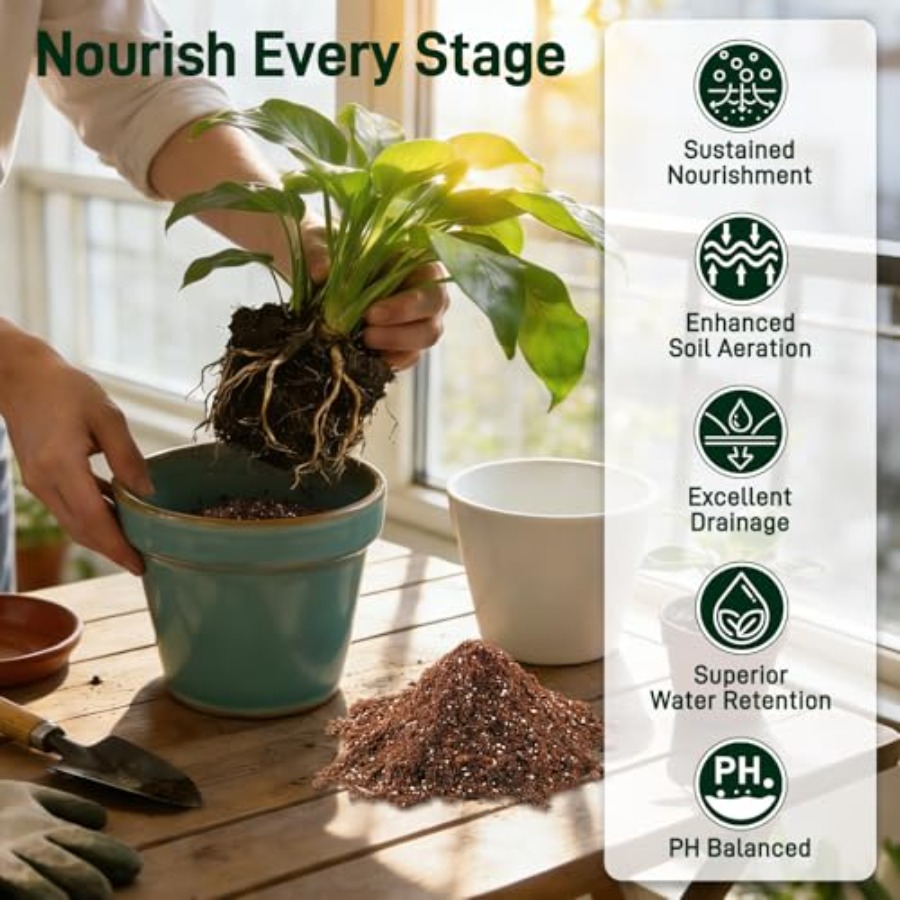 2 Mix for Indoor Plants - Cont - Coco Perlite Mix 评论和价格