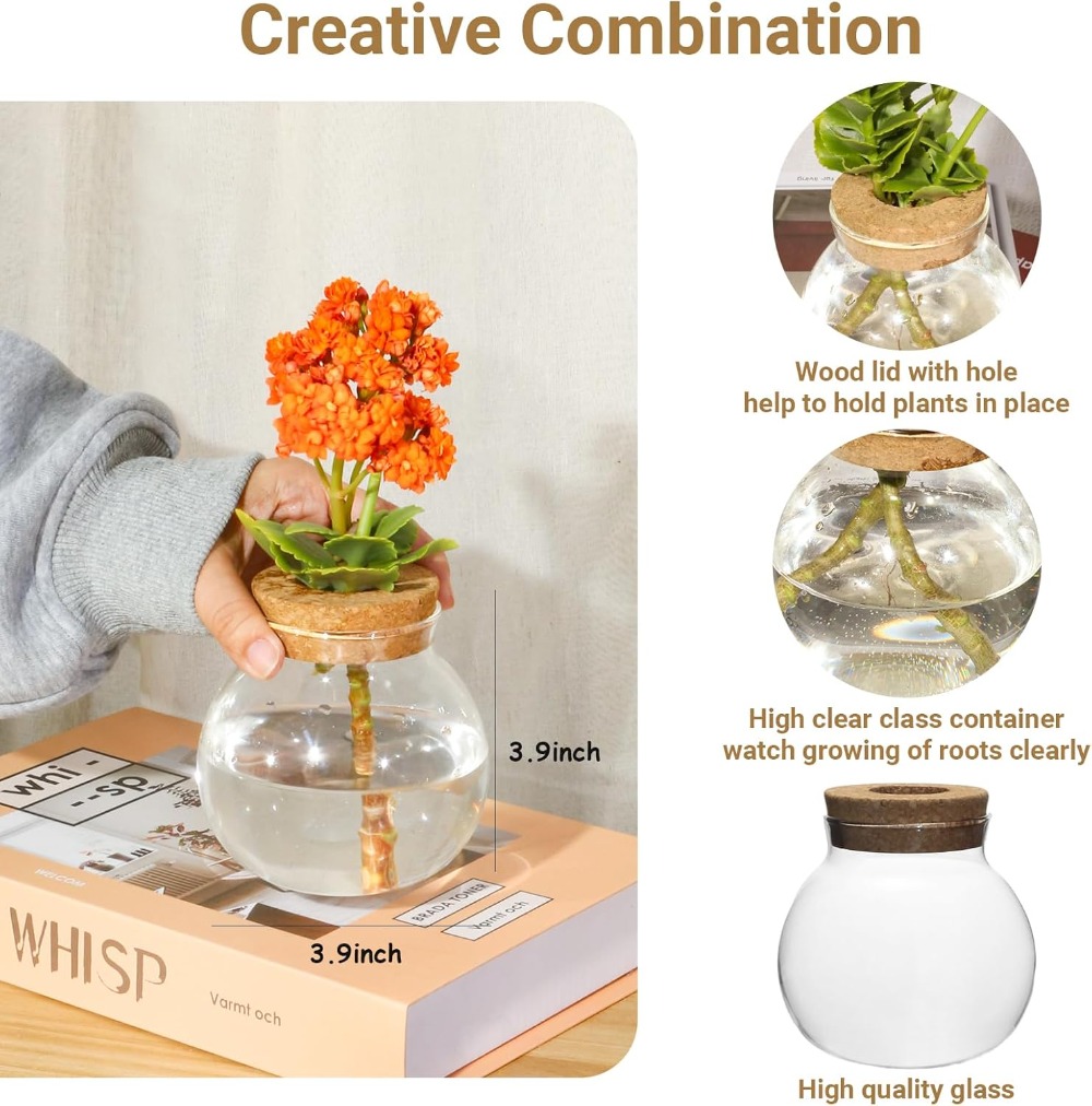 Hydroponic Plant Propagation S - Propagation Station Vase 评论和价格