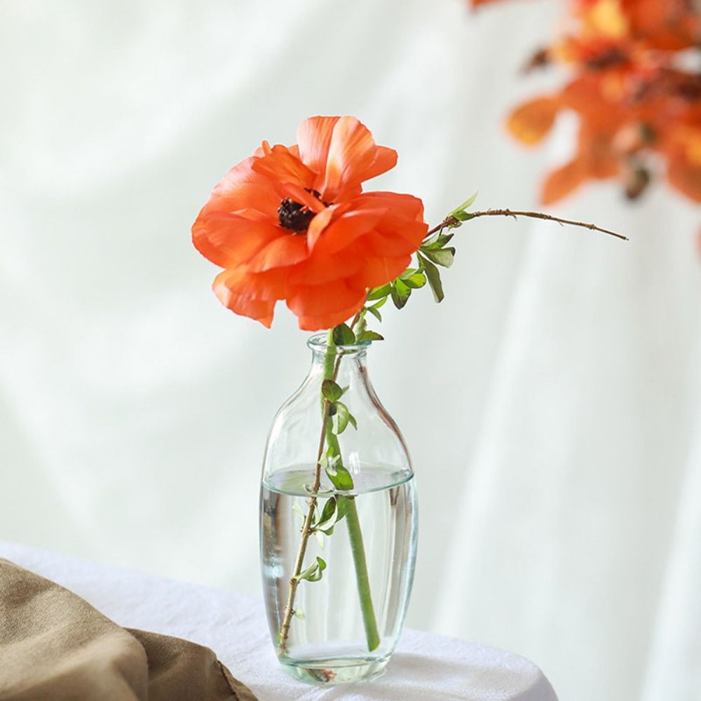 Fashion Retro Flower Vase Glas - Propagation Station Vase 评论和价格