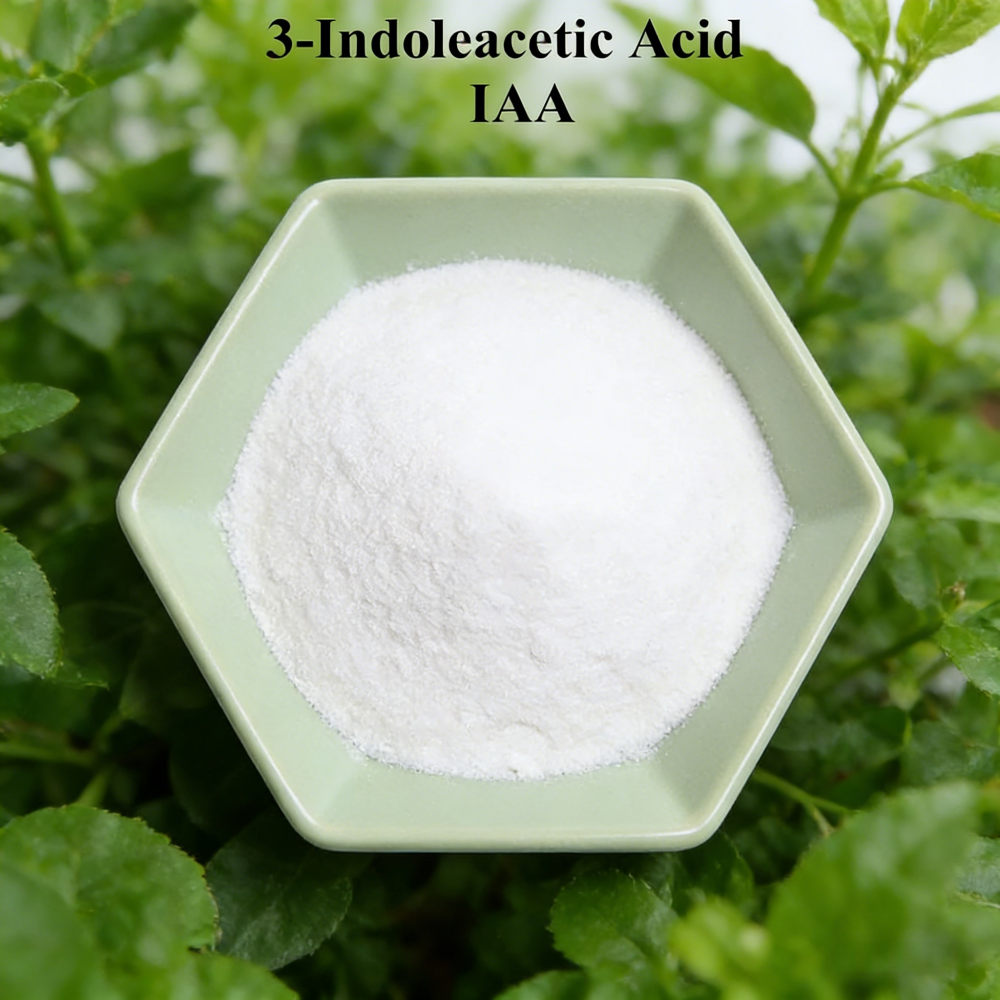 3-indoleacetic Acid IAA Auxina - Rooting Hormone Powder 评论和价格