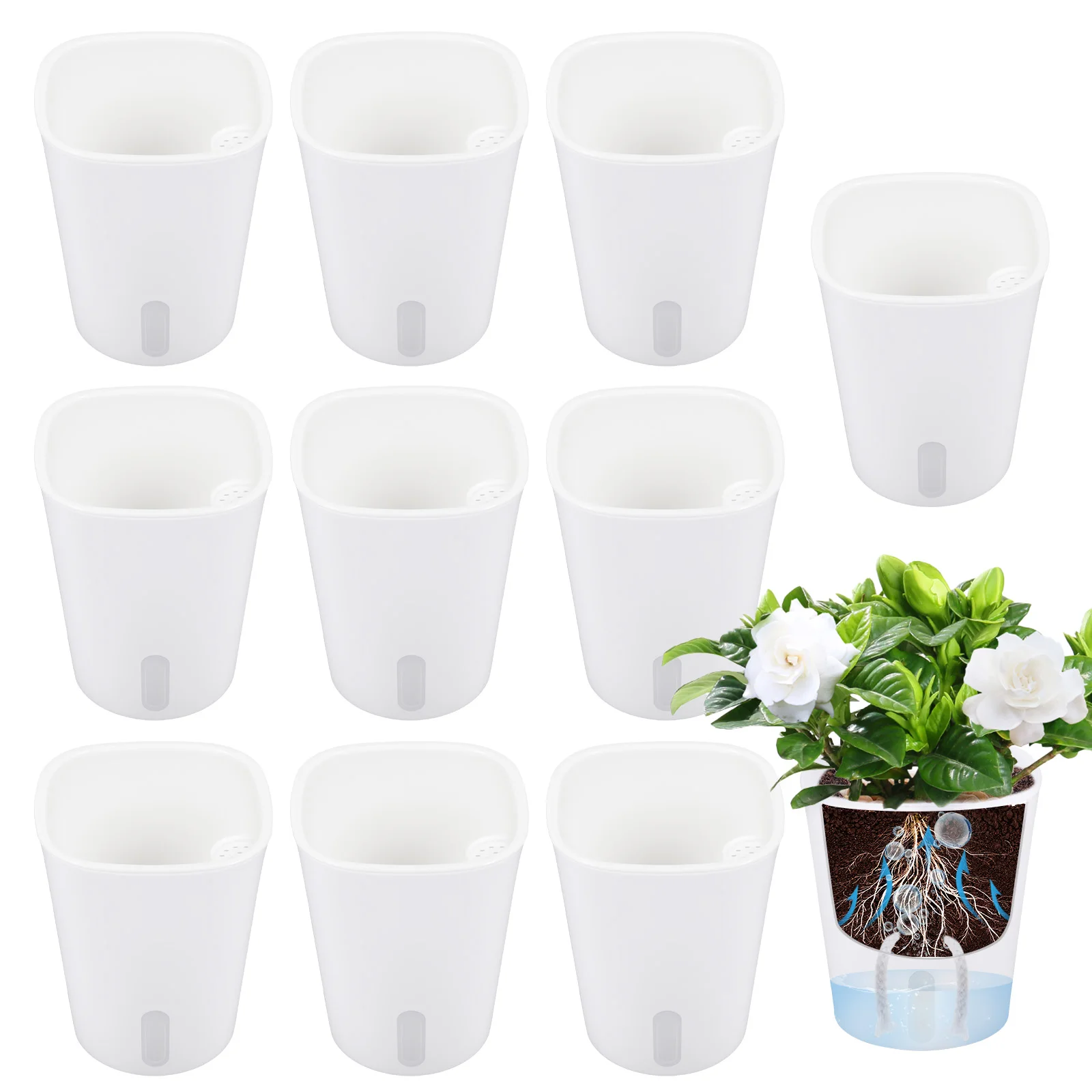 10 Pcs Self Watering Planter L - Self Watering Insert 评论和价格