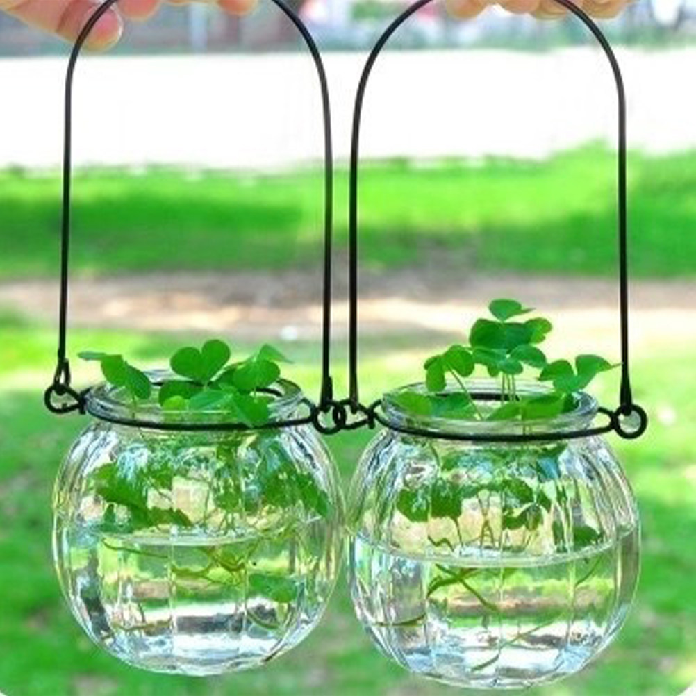 6Pcs Transparent Hanging Glass - Propagation Station Vase 评论和价格