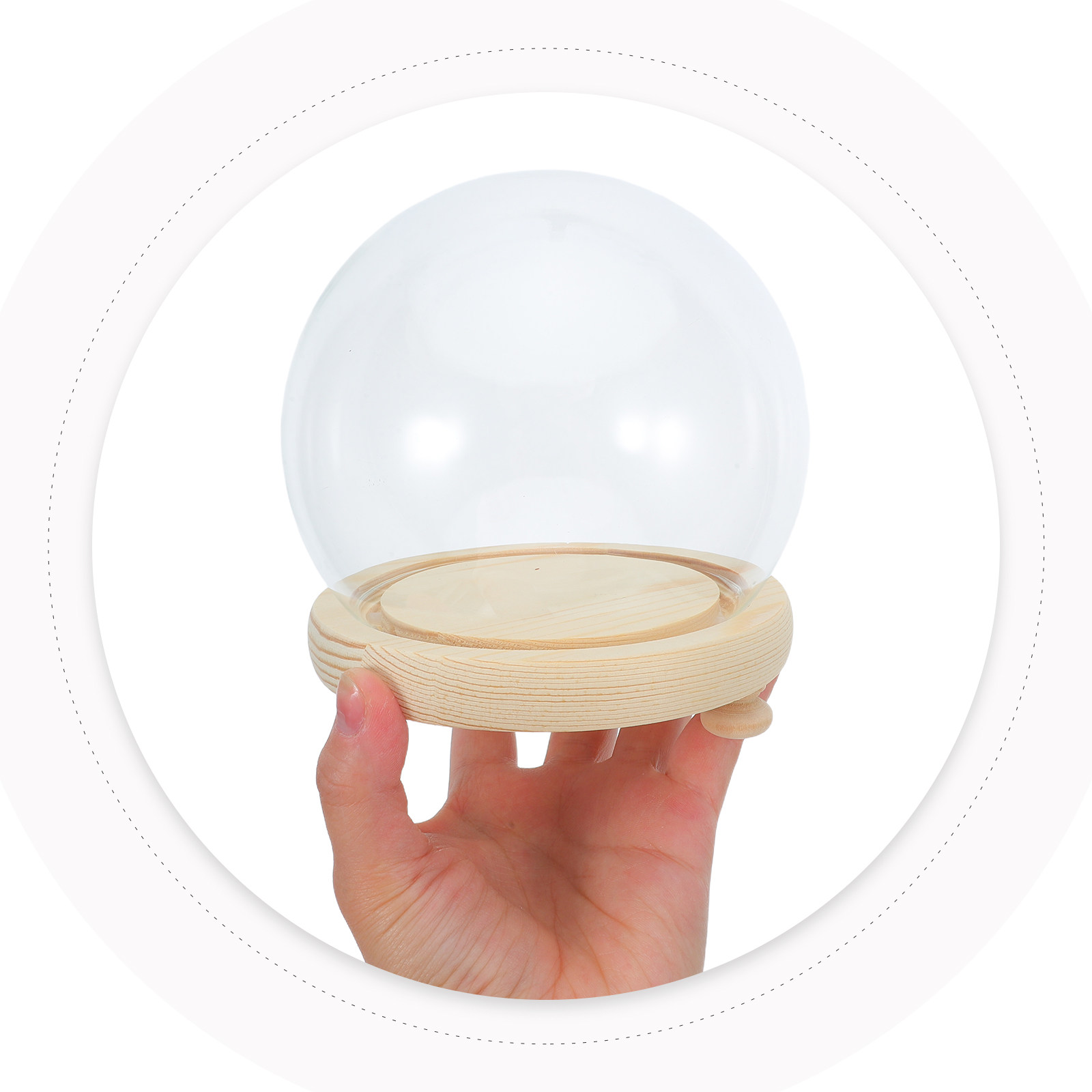 Preserved Flower Glass Dome El - Plastic Dome Clear 评论和价格