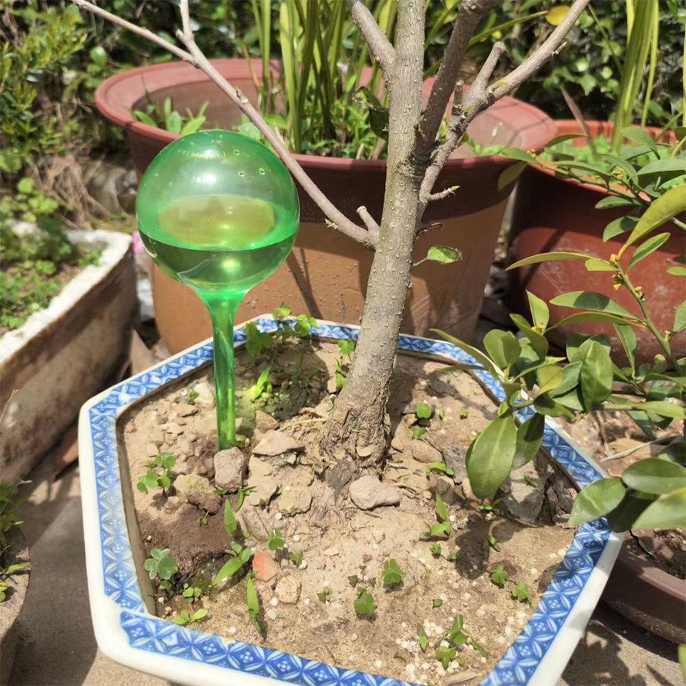 Automatic Plant Watering Bulbs - Self Watering Insert 评论和价格