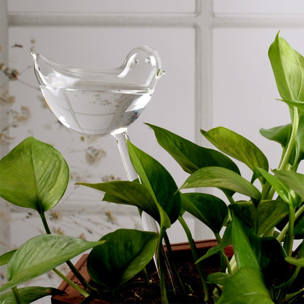 Automatic Plant Watering Bulbs - Self Watering Insert 评论和价格