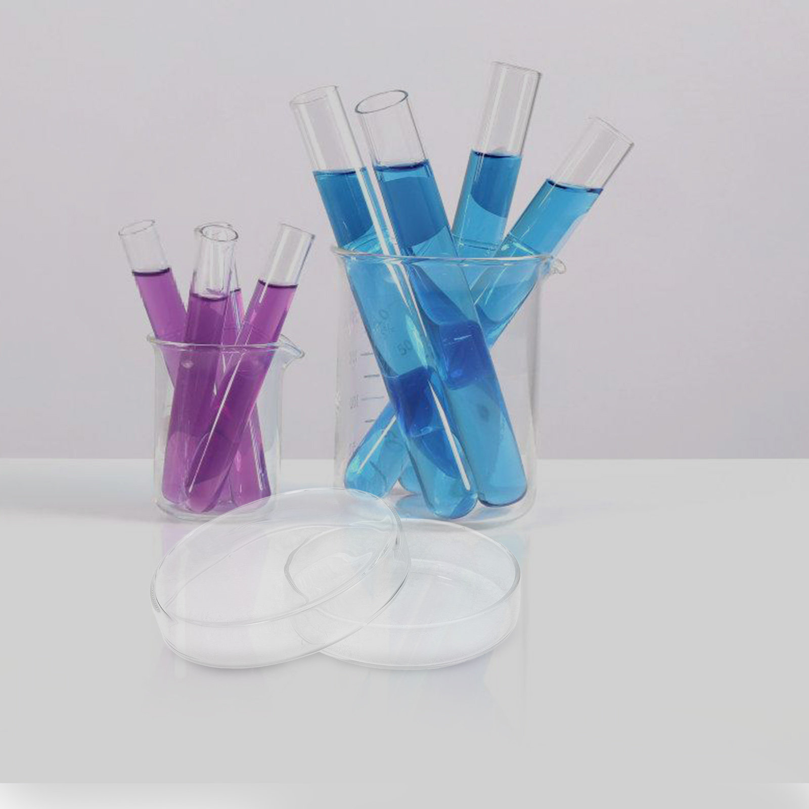 Glass Petri Dish High Borosili - Agar Tissue Culture 评论和价格