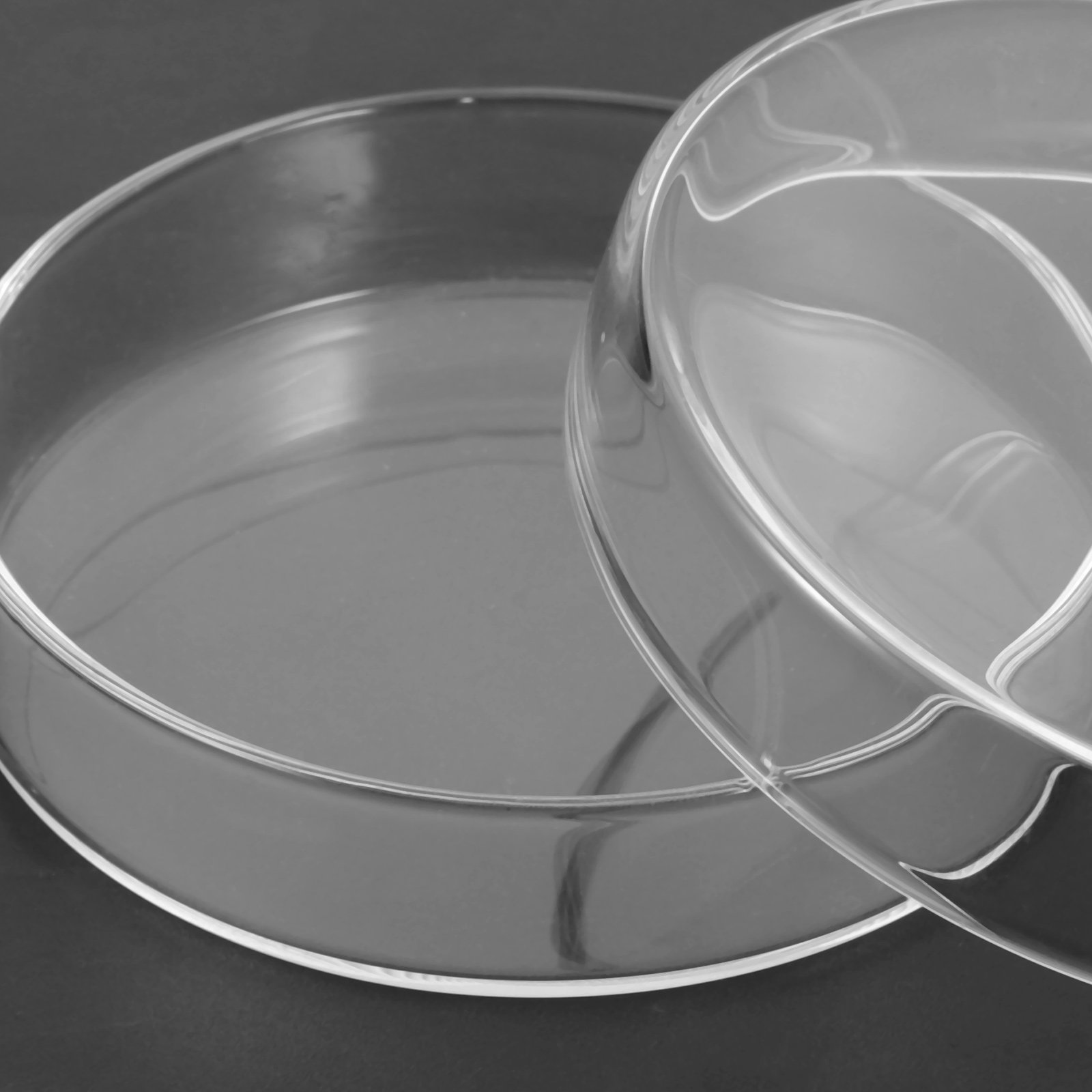 Glass Petri Dish High Borosili - Agar Tissue Culture 评论和价格