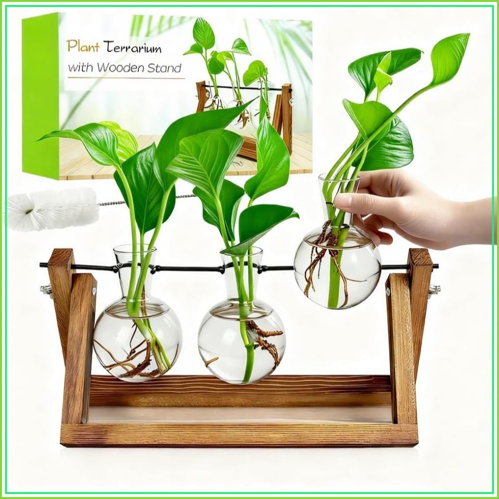 Plant Propagation Station with - Propagation Station Vase 评论和价格