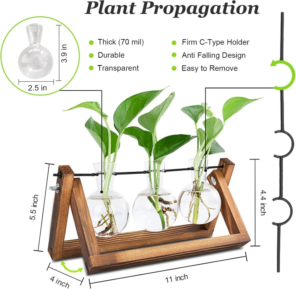 Plant Propagation Station with - Propagation Station Vase 评论和价格
