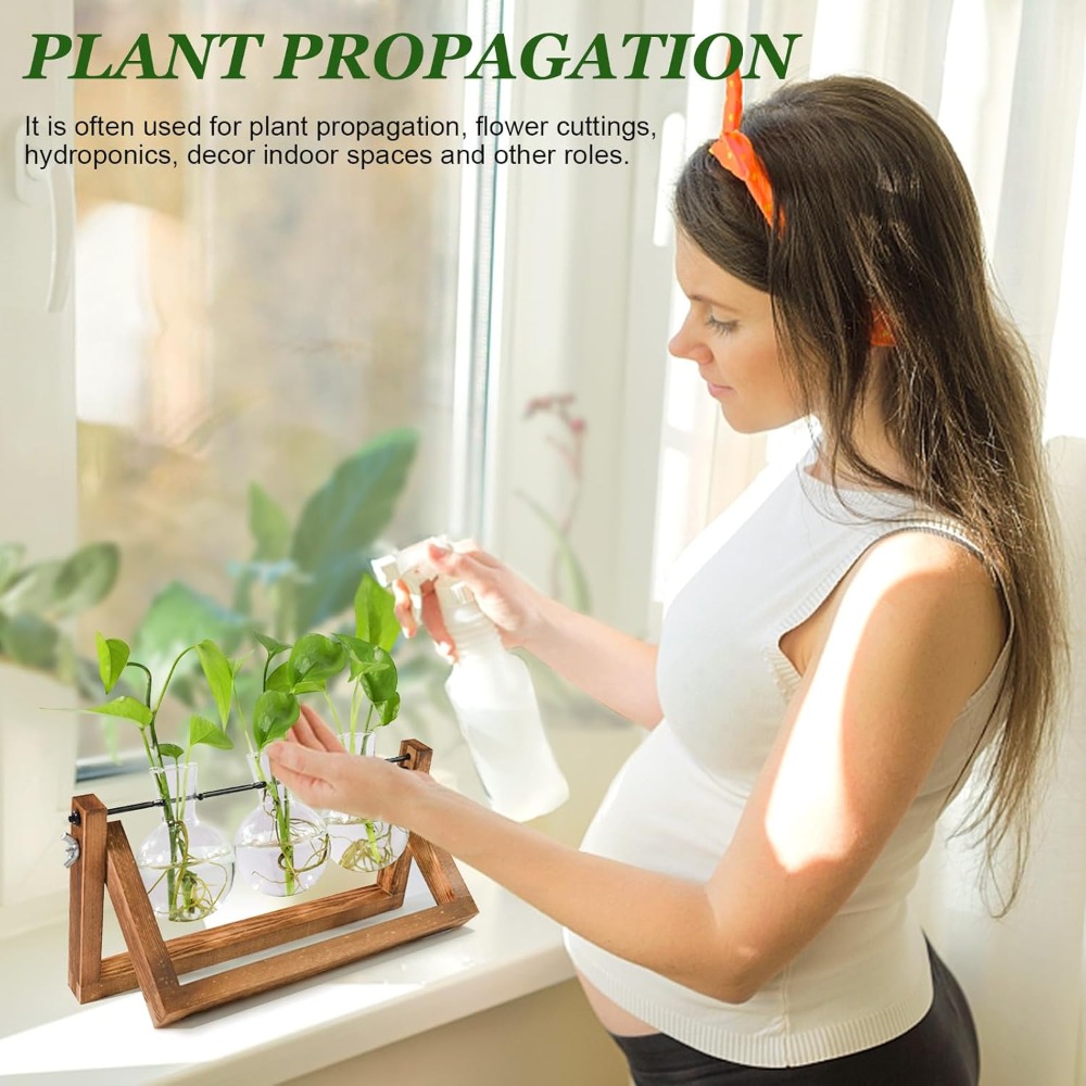 Plant Propagation Station with - Propagation Station Vase 评论和价格