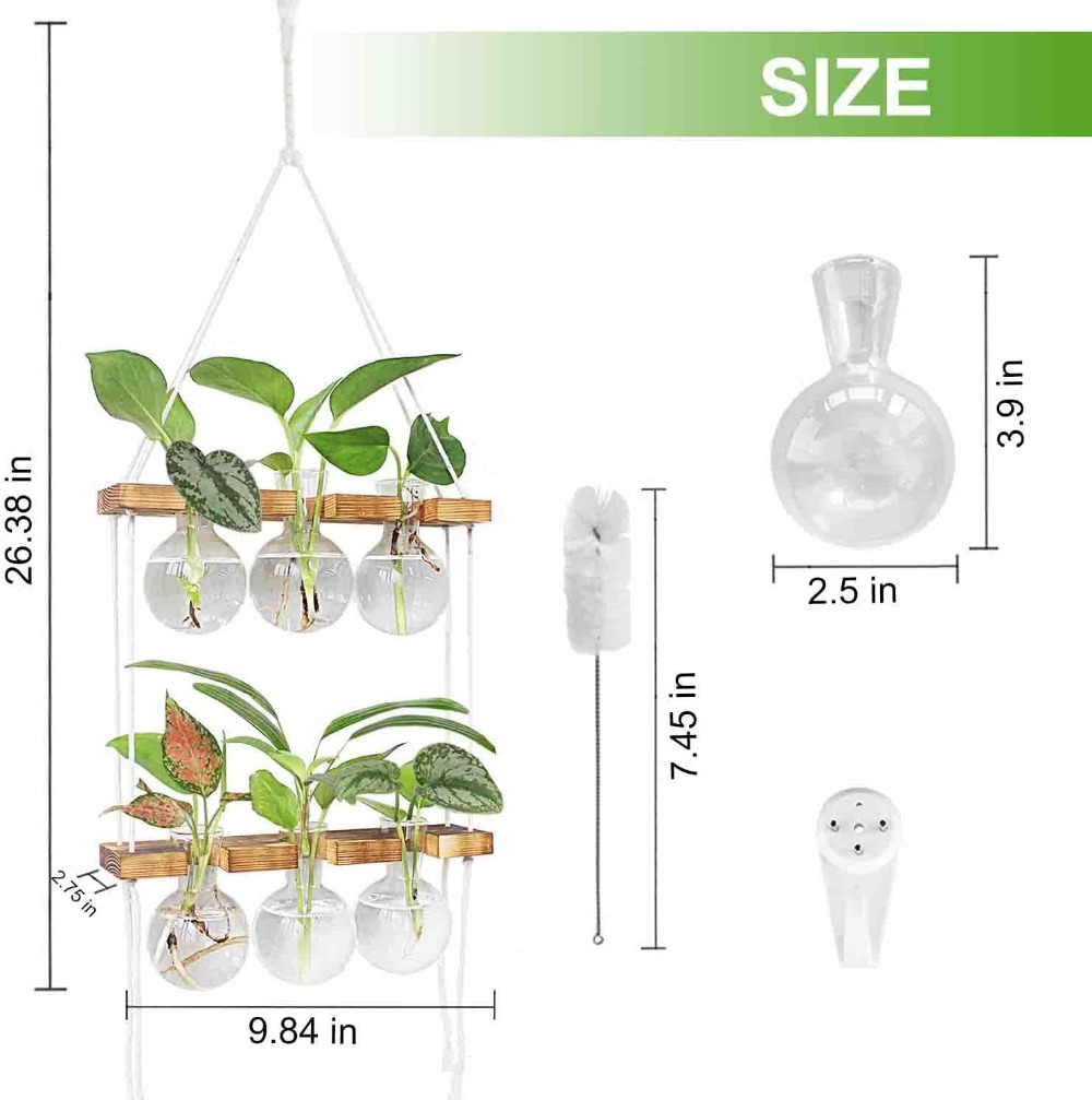 Wall Hanging Plant Propagation - Propagation Station Vase 评论和价格