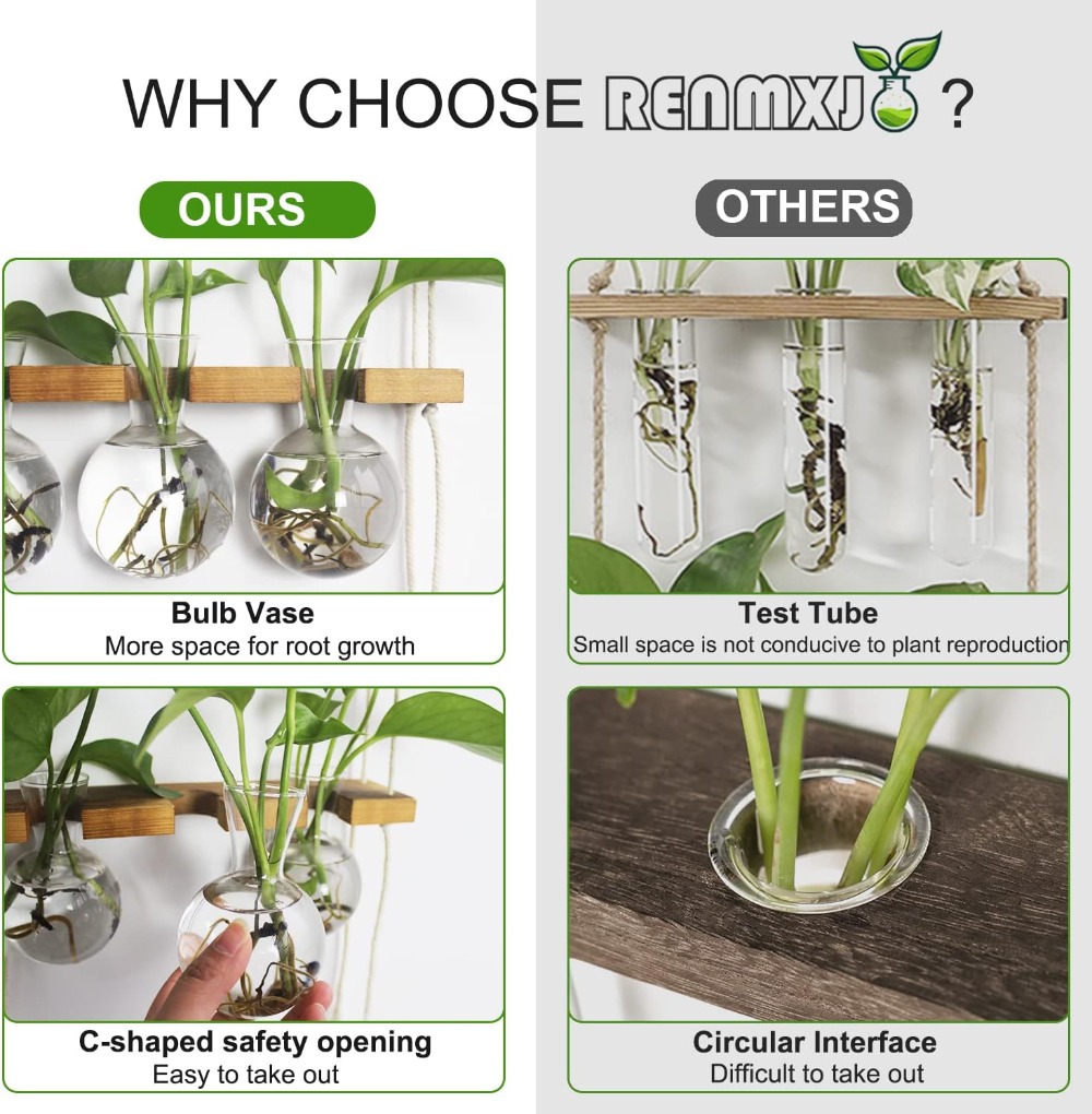 Wall Hanging Plant Propagation - Propagation Station Vase 评论和价格