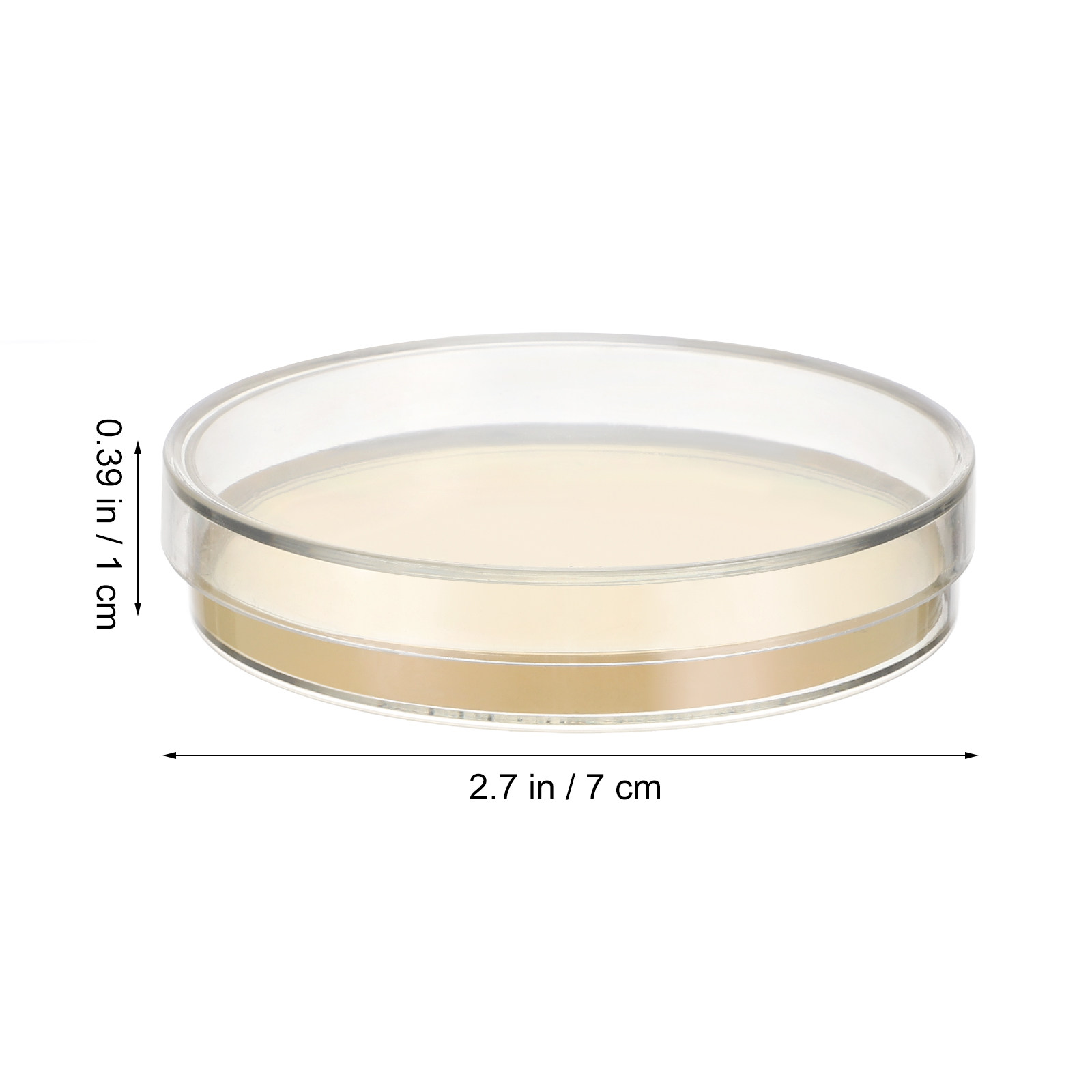 10pcs Pre-filled Agar Plates P - Agar Tissue Culture 评论和价格