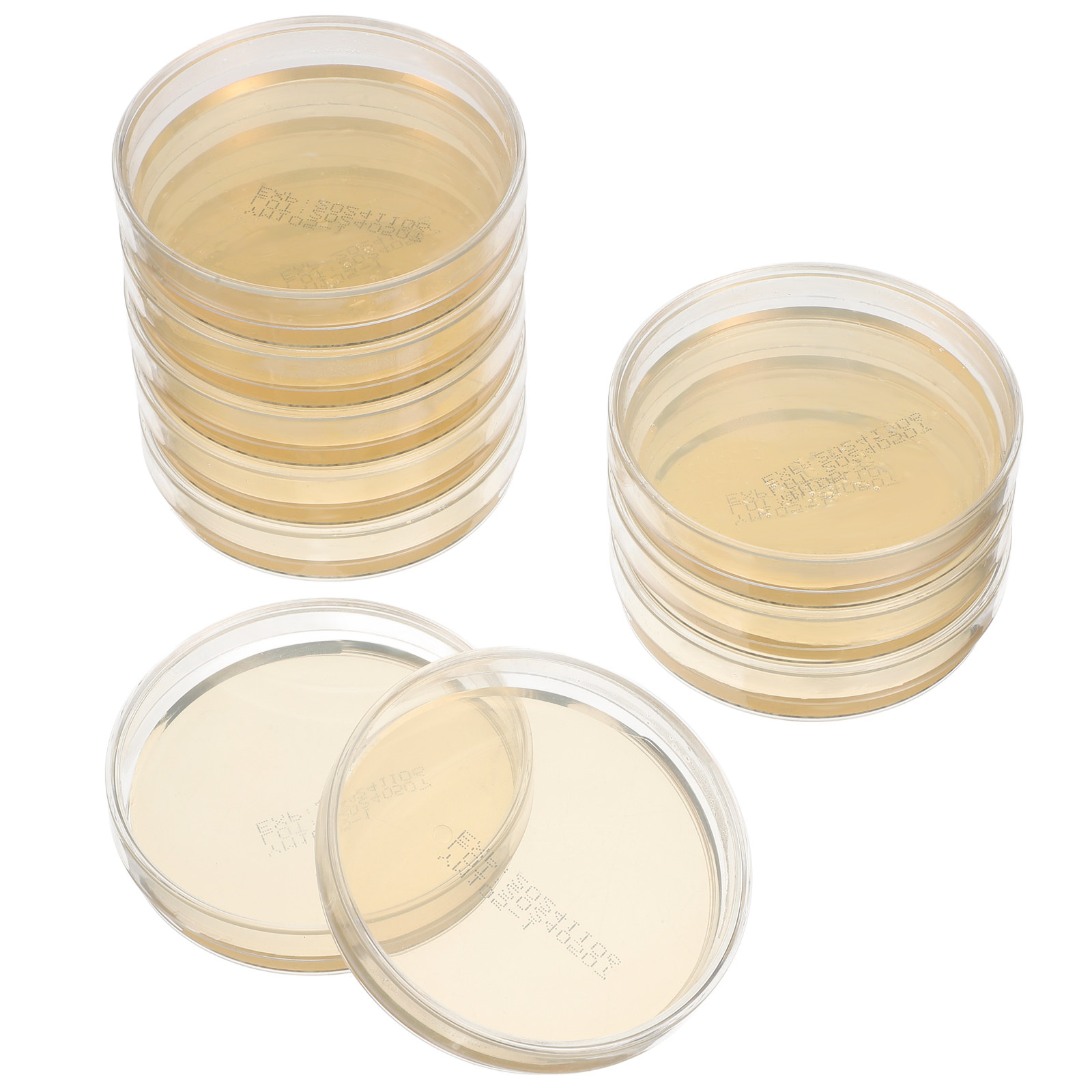 10pcs Pre-filled Agar Plates P - Agar Tissue Culture 评论和价格