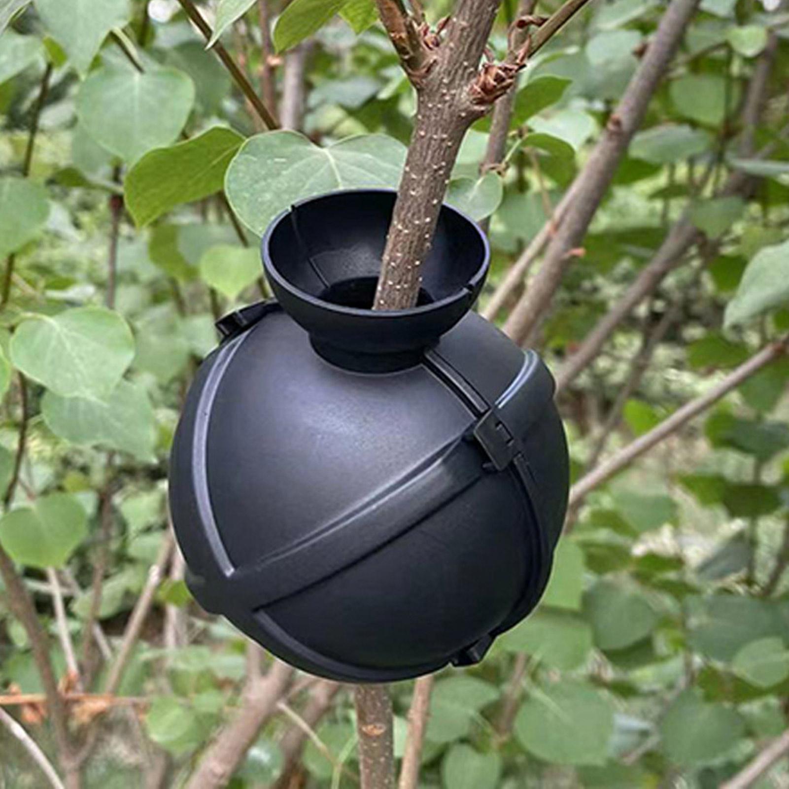 Garden Orchard Plants Grafting - Rooting Gel Clone 评论和价格