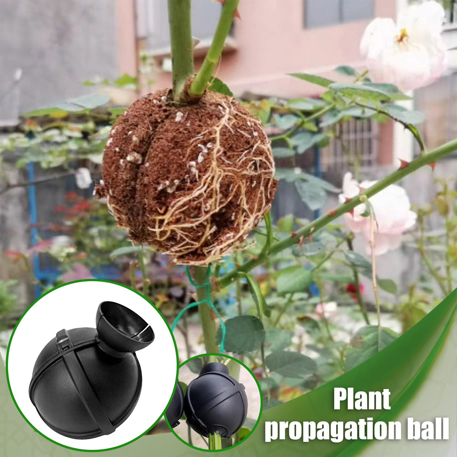 Garden Orchard Plants Grafting - Rooting Gel Clone 评论和价格
