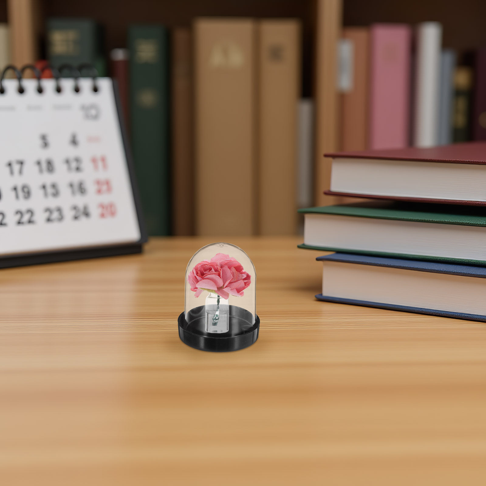 4Pcs Clear Micro Landscape Dom - Plastic Dome Clear 评论和价格